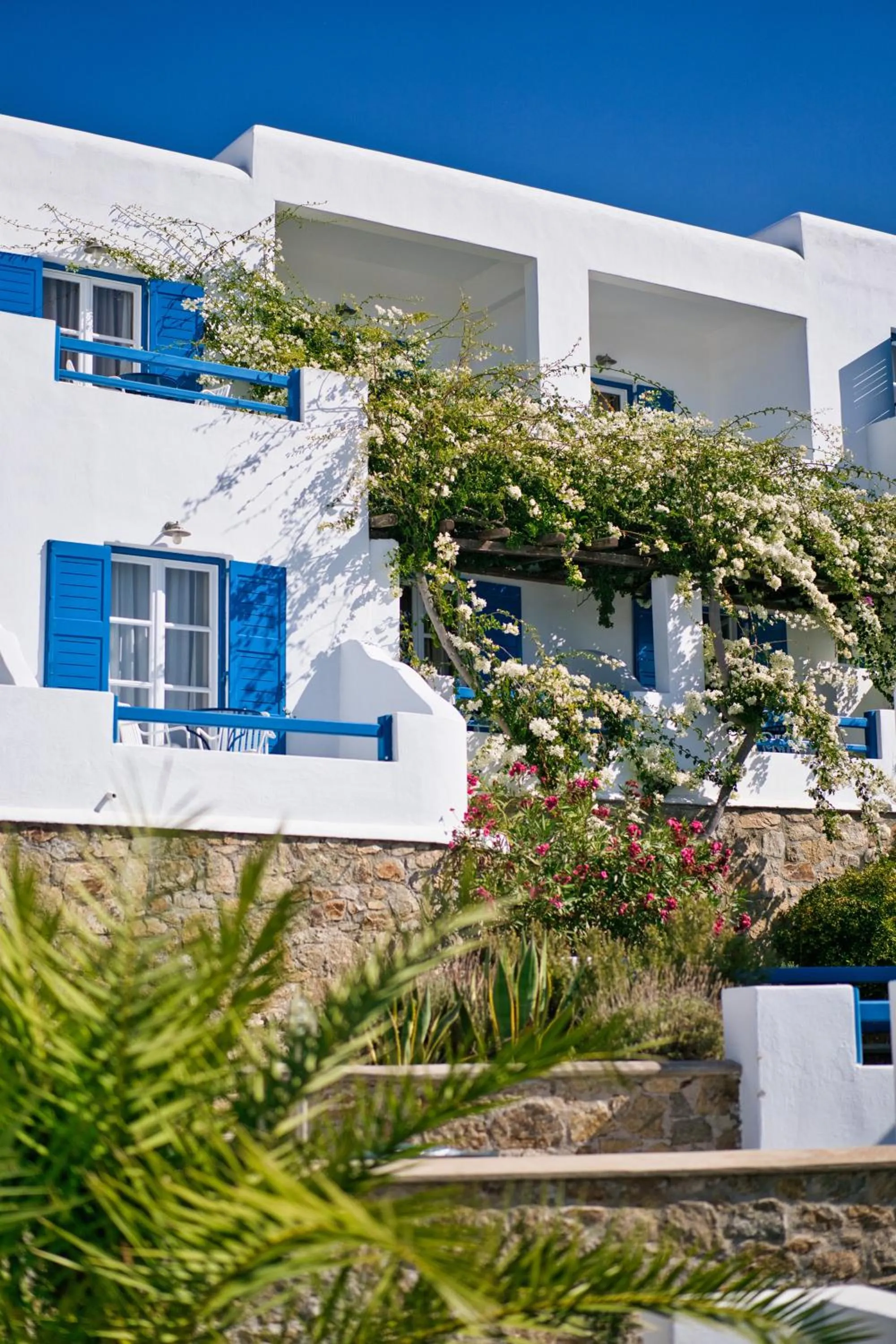 Property building in San Antonio Summerland