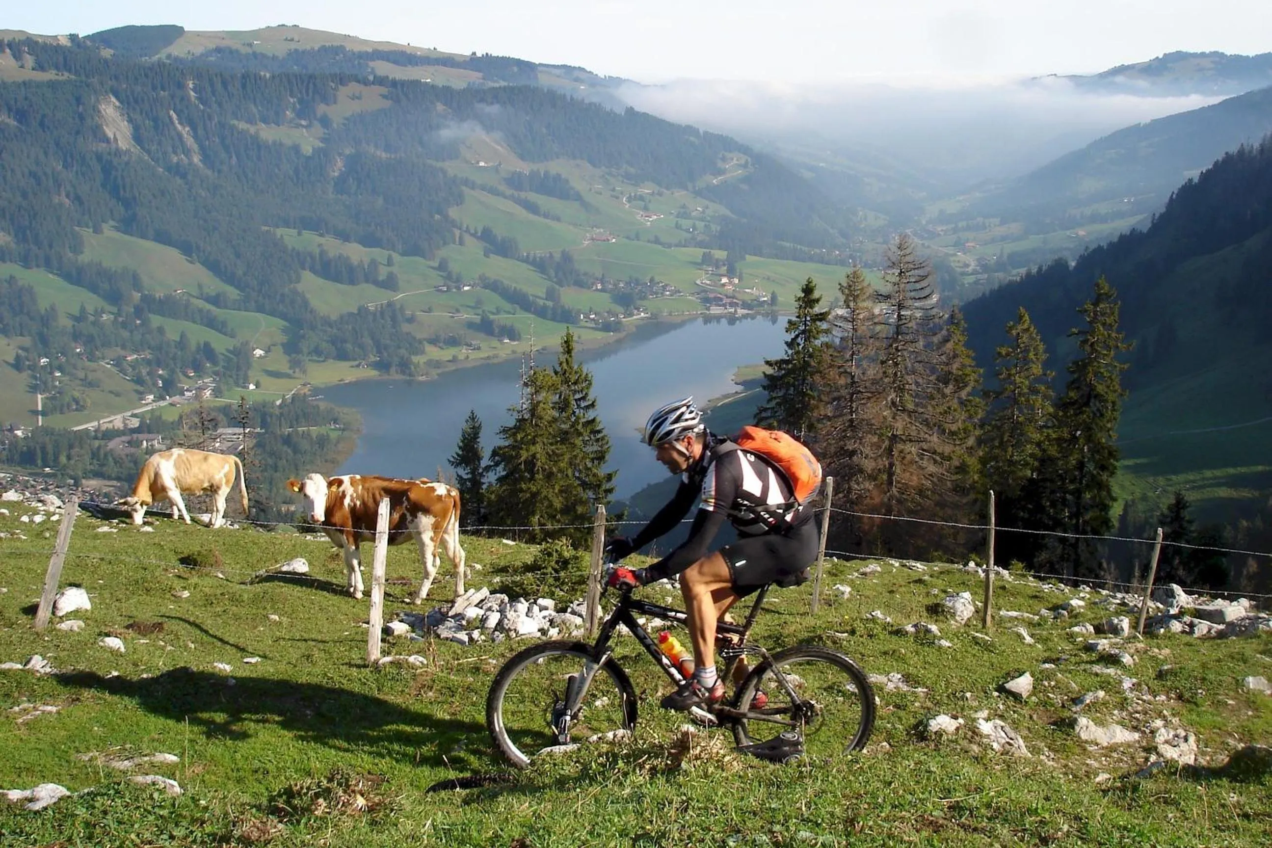 Cycling in Hostellerie am Schwarzsee