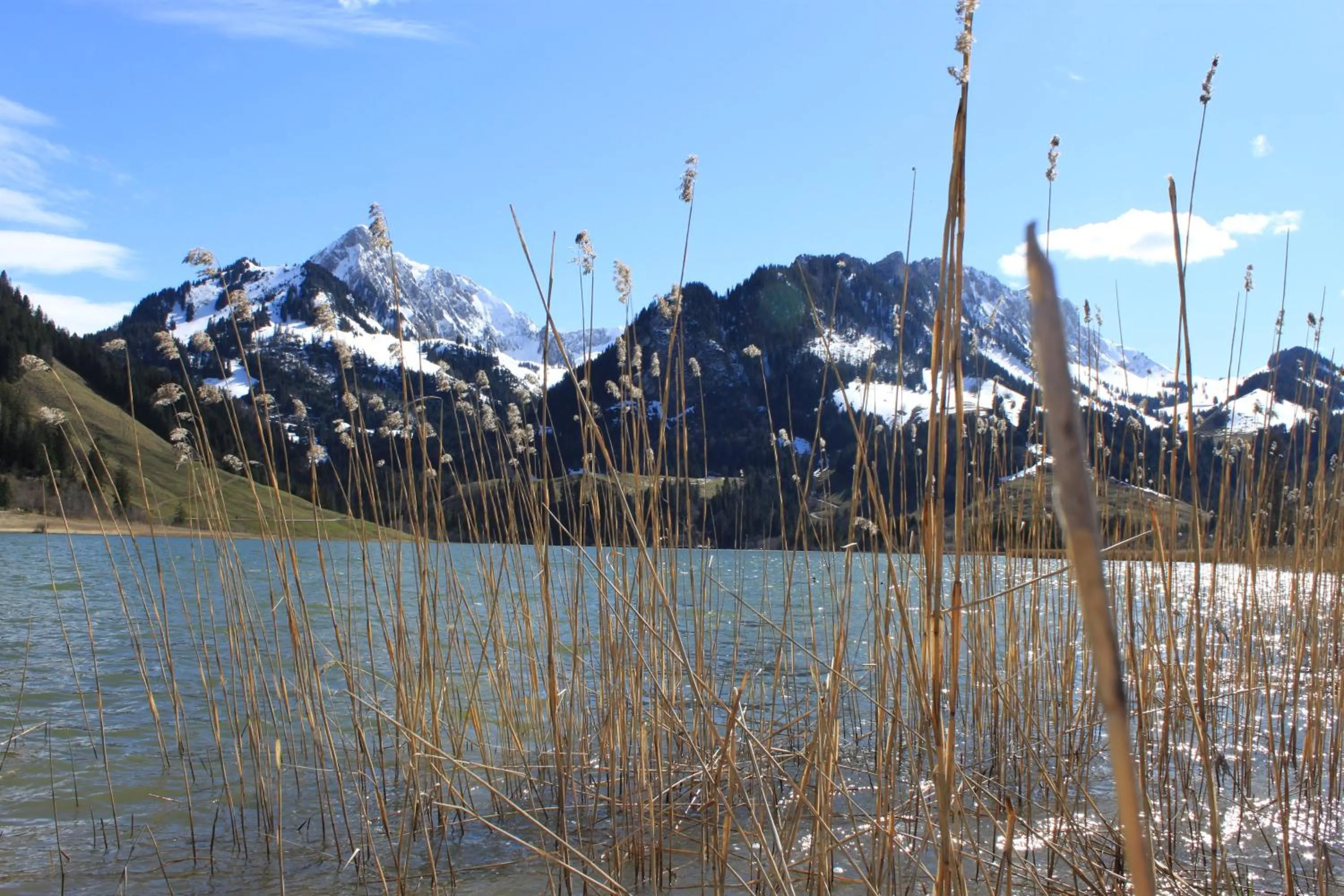 Day in Hostellerie am Schwarzsee