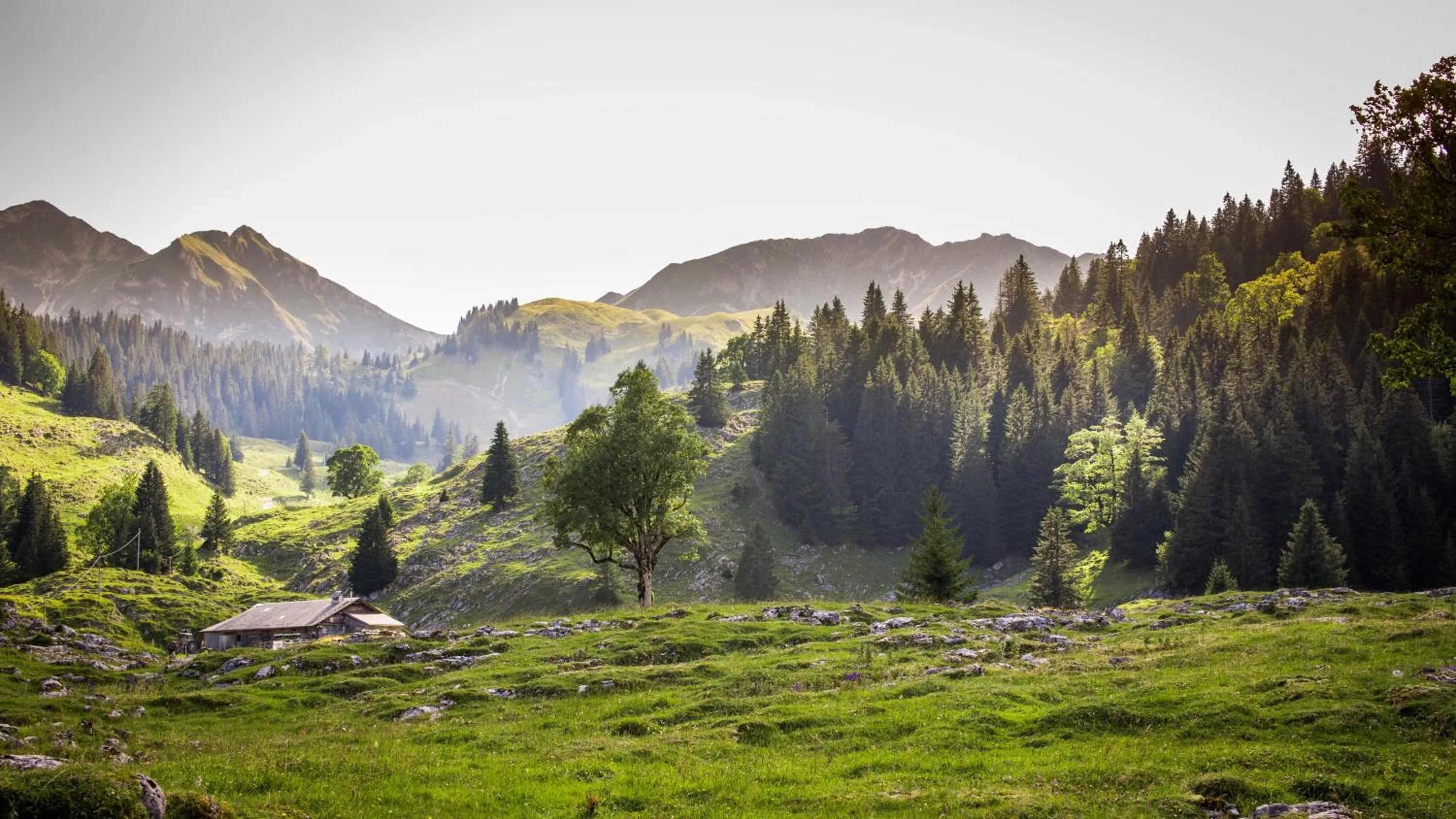 Natural landscape in Hostellerie am Schwarzsee