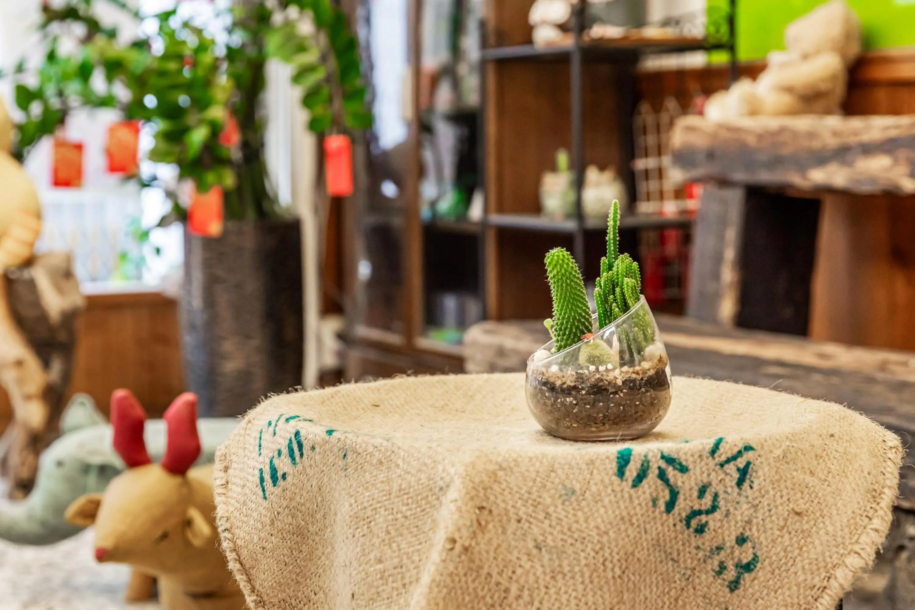 On site in Forever Happiness Hostel