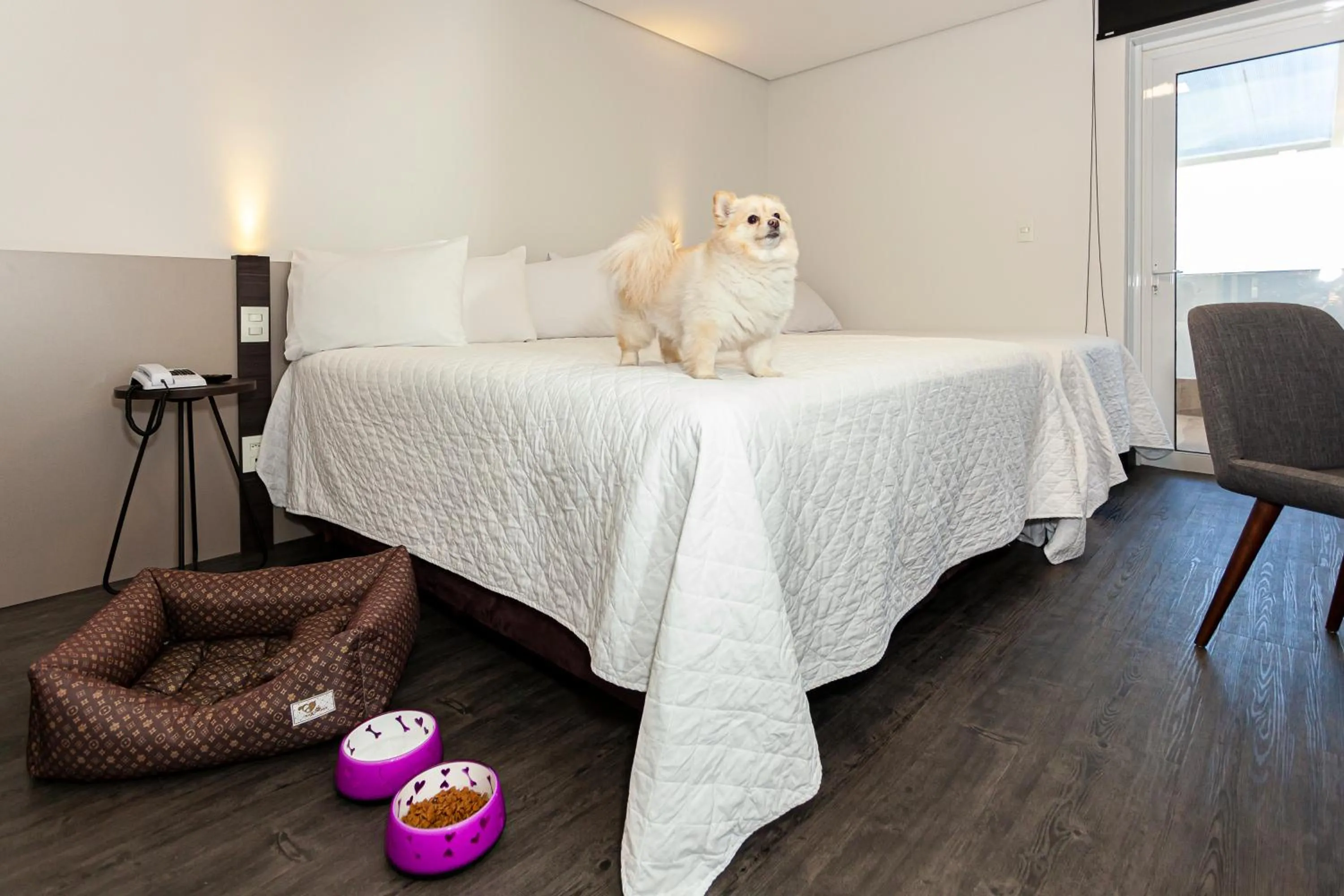 Pets, Bed in Travel Inn Hotels Caxias do Sul