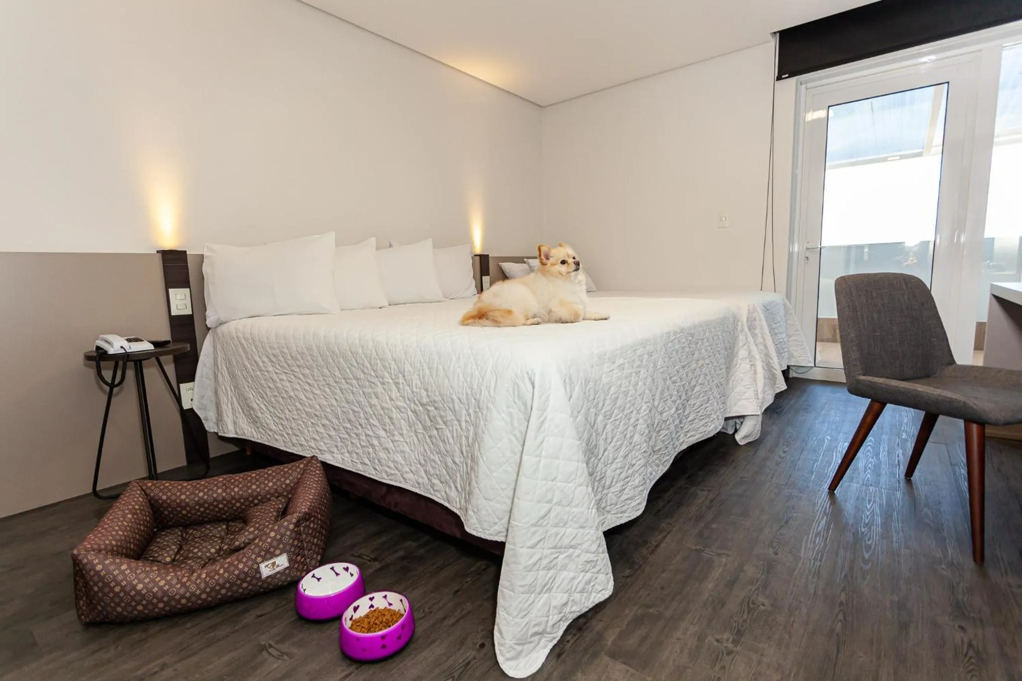 Pets, Bed in Travel Inn Hotels Caxias do Sul