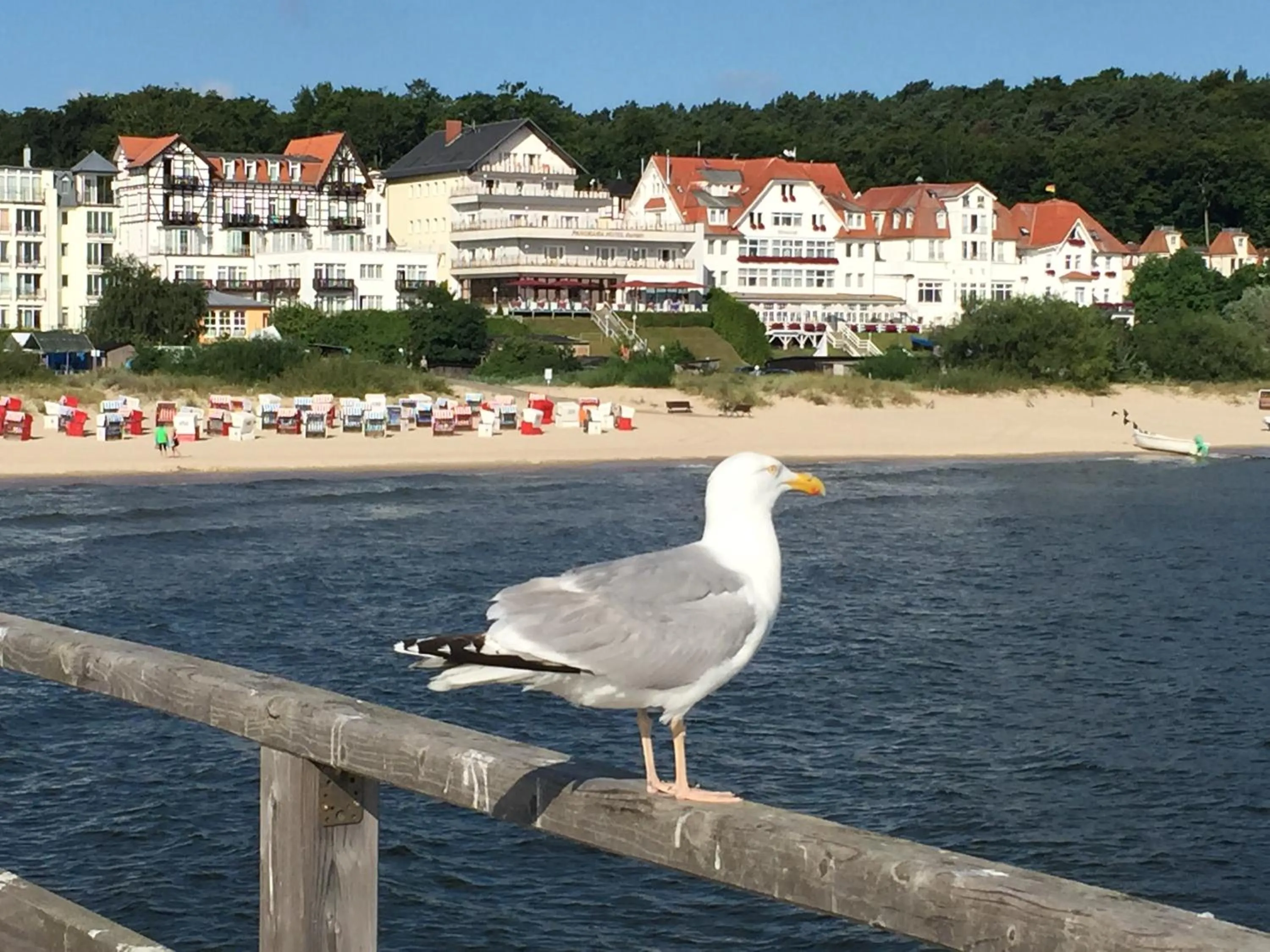 Day in Panorama Hotel Bansin