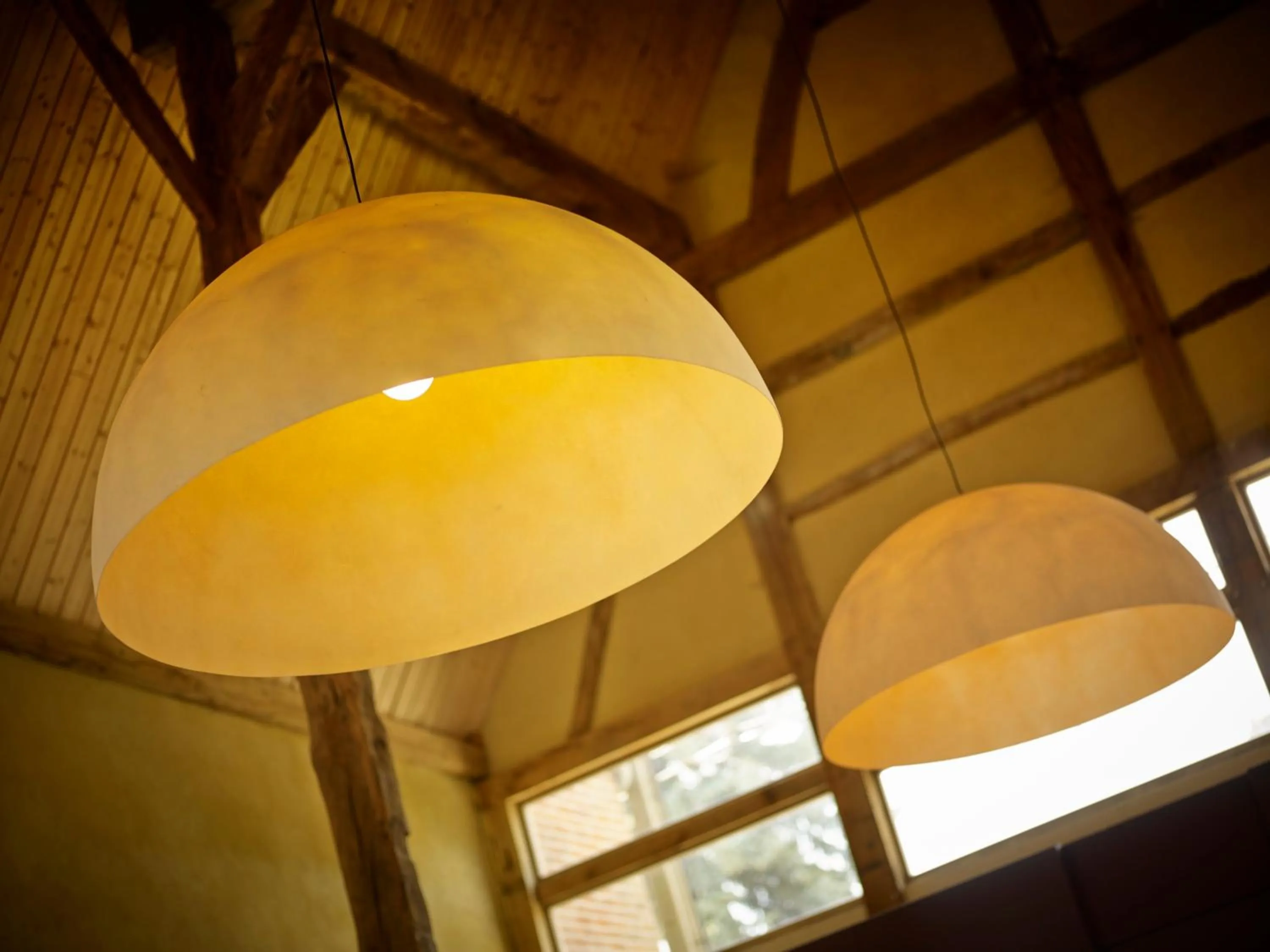 Breakfast in B&B 't Maanhof