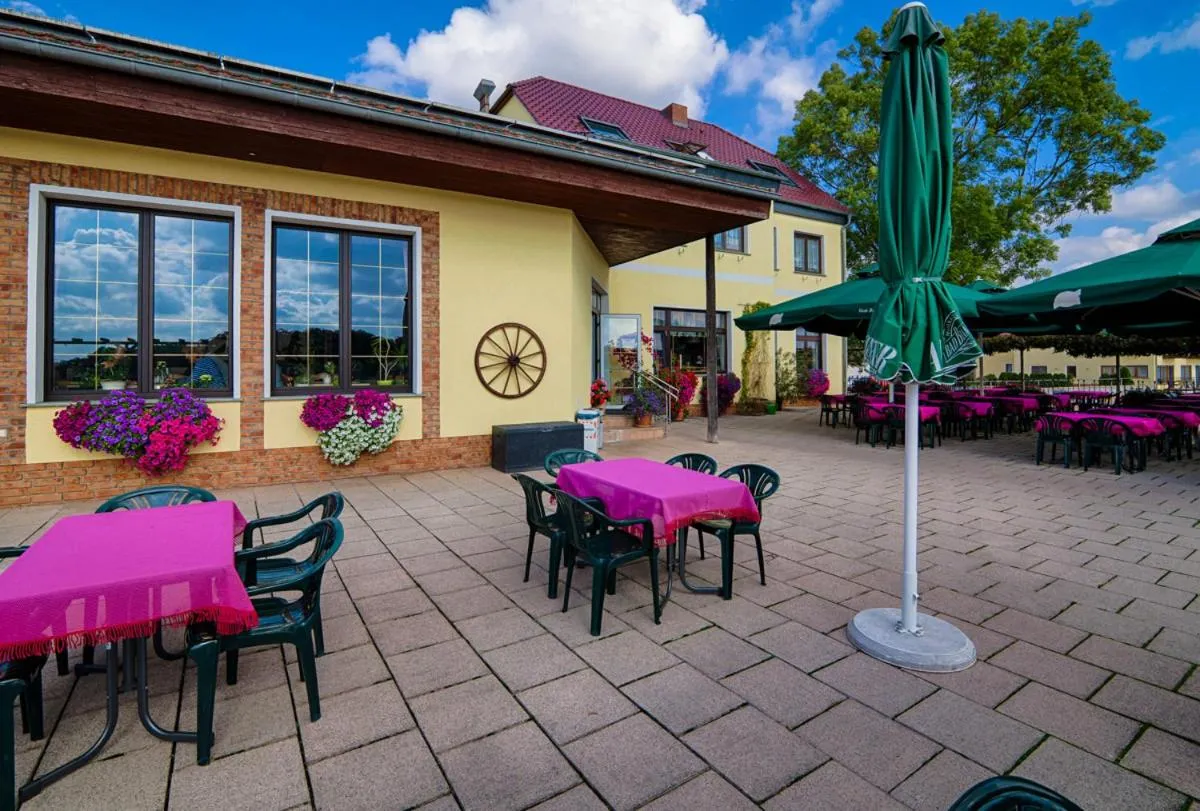 Restaurant/places to eat in Elbterrassen zu Brambach