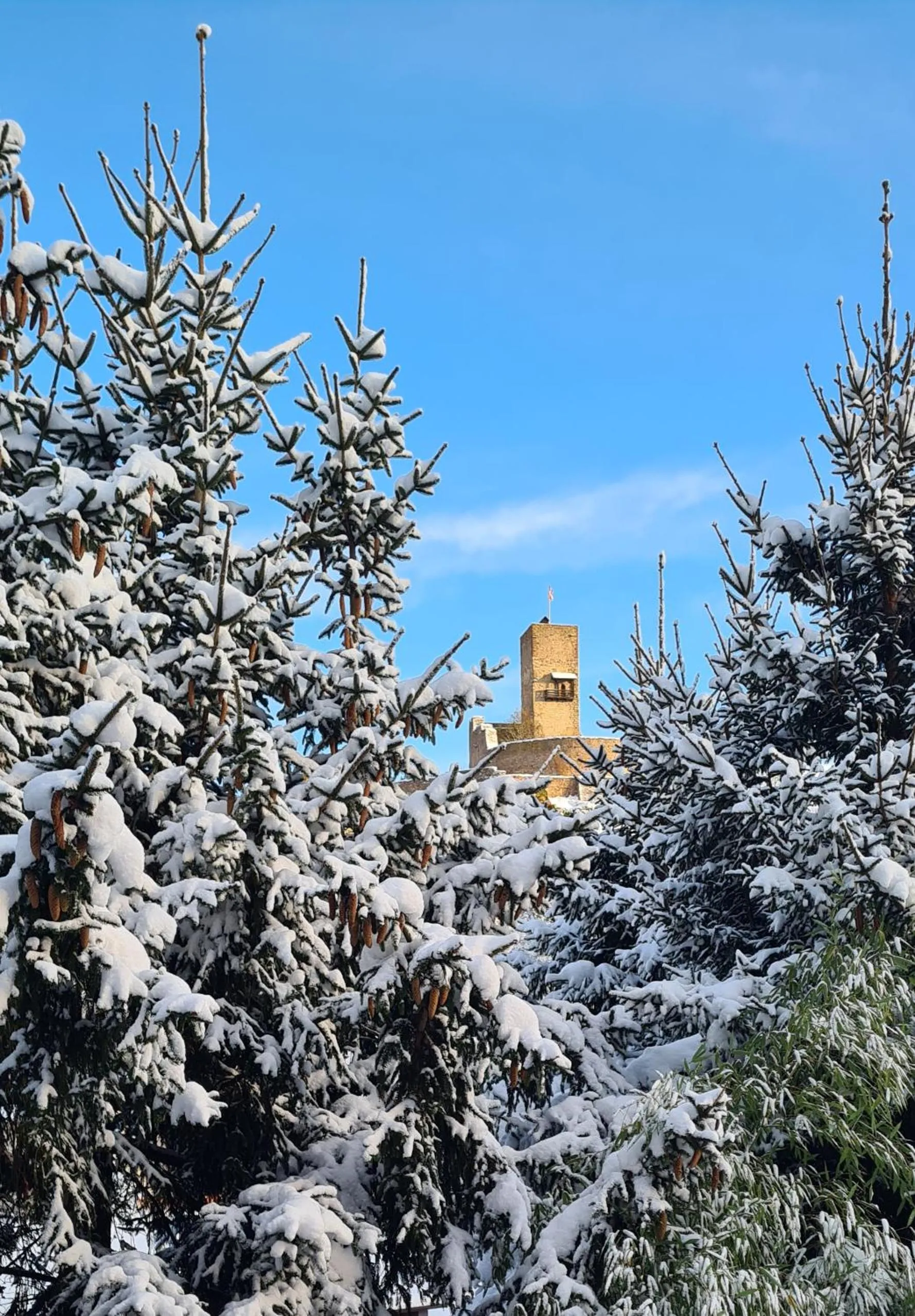 Gîte et chambres d'hôtes Les Framboises