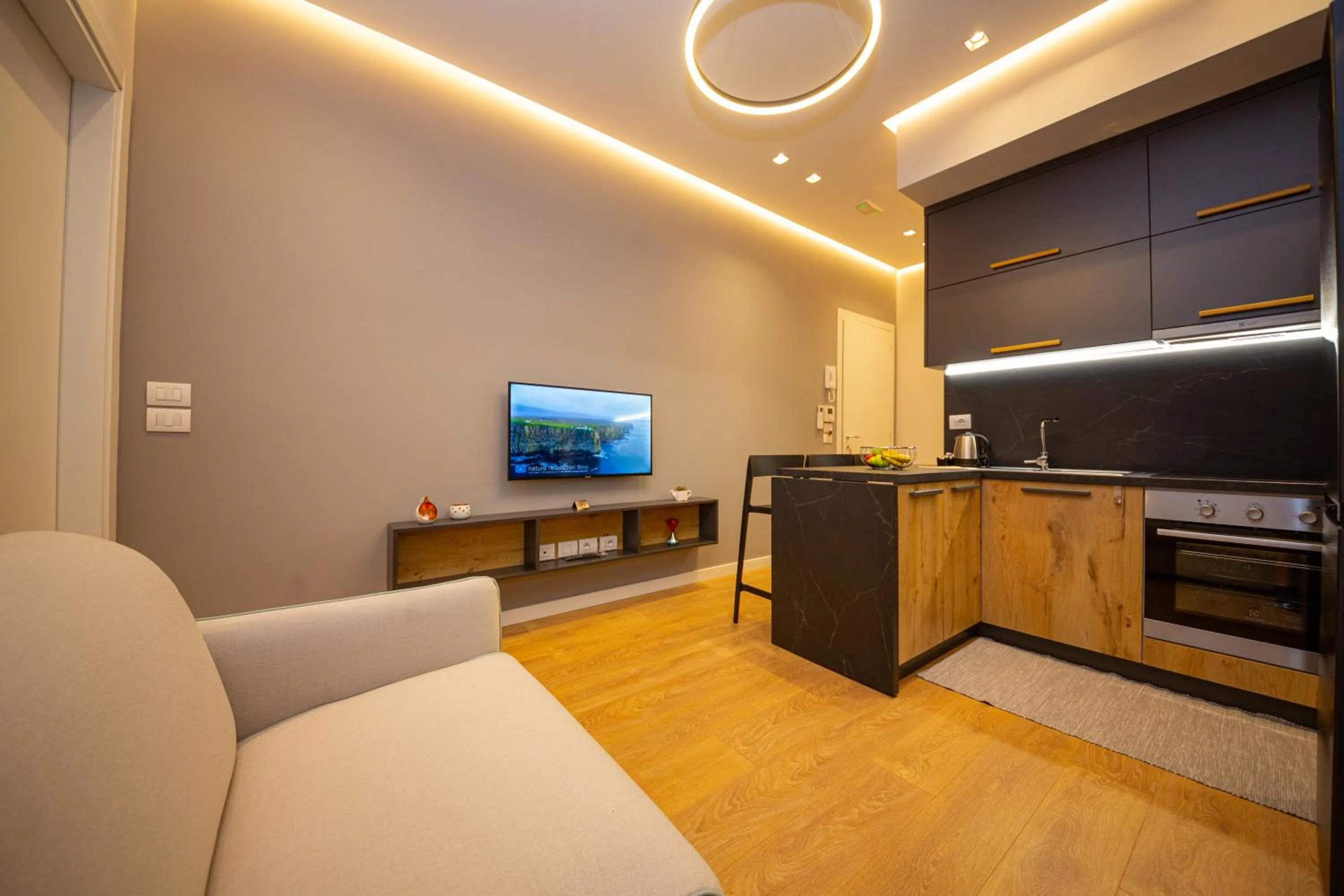 TV and multimedia in Central Chic Apartments