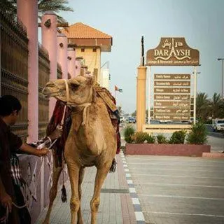 Day in Daraysh Hotel