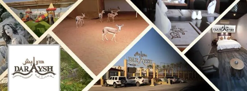 Text overlay in Daraysh Hotel