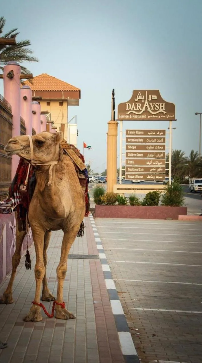 Animals in Daraysh Hotel