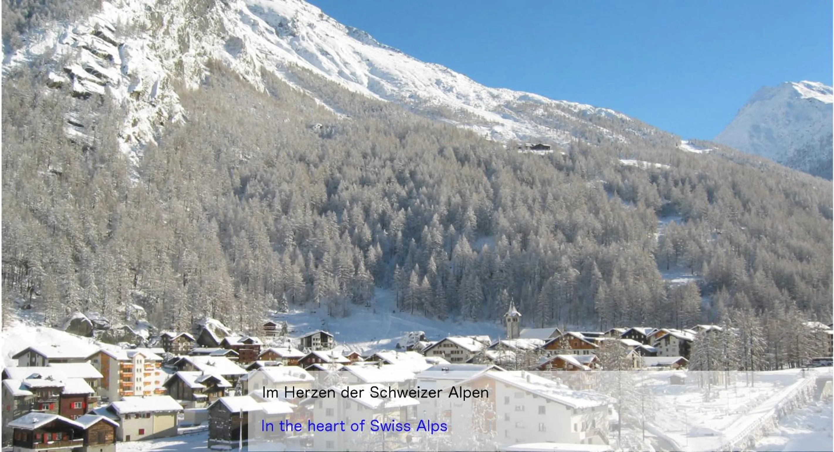 Natural landscape in Hotel Restaurant Mattmarkblick