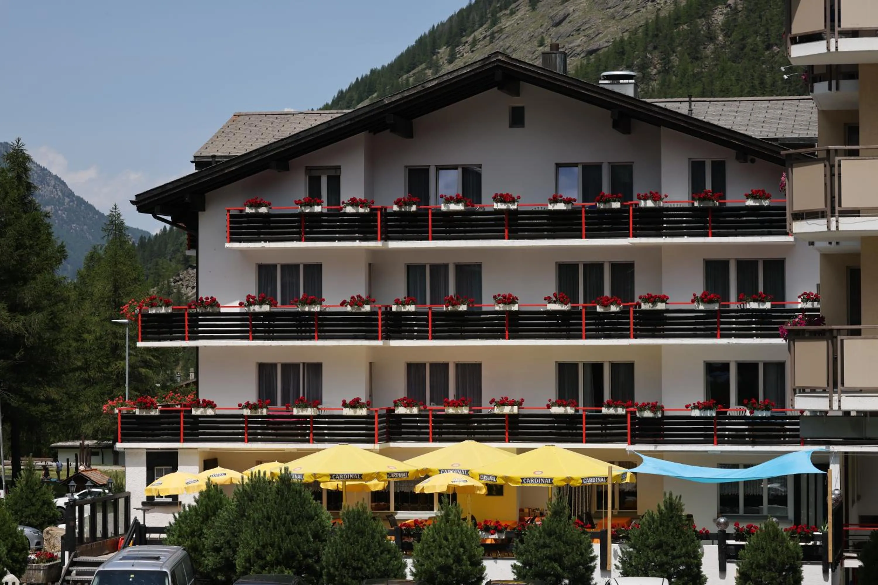 Natural landscape in Hotel Restaurant Mattmarkblick