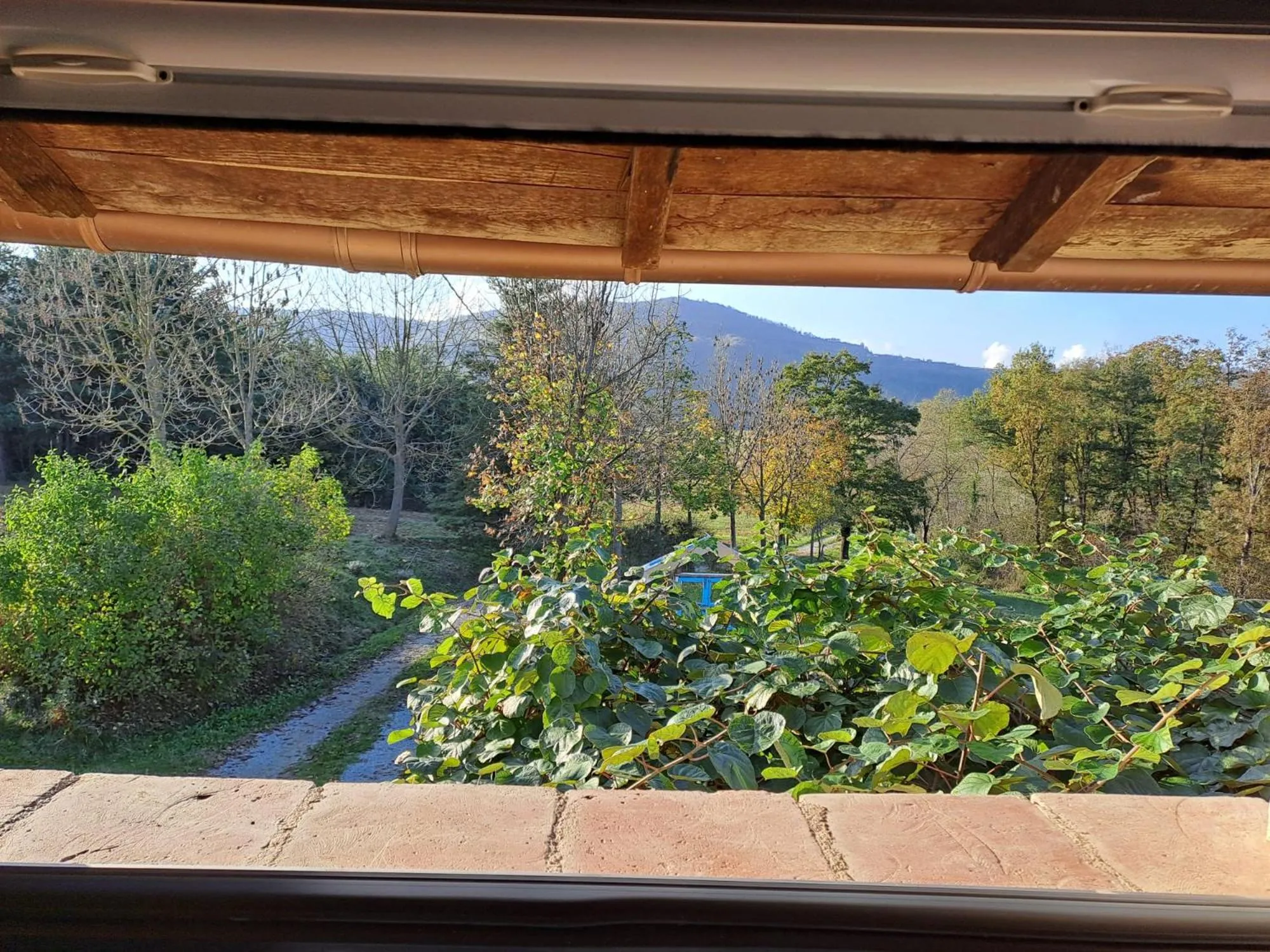 View (from property/room) in Cascina Boschetto