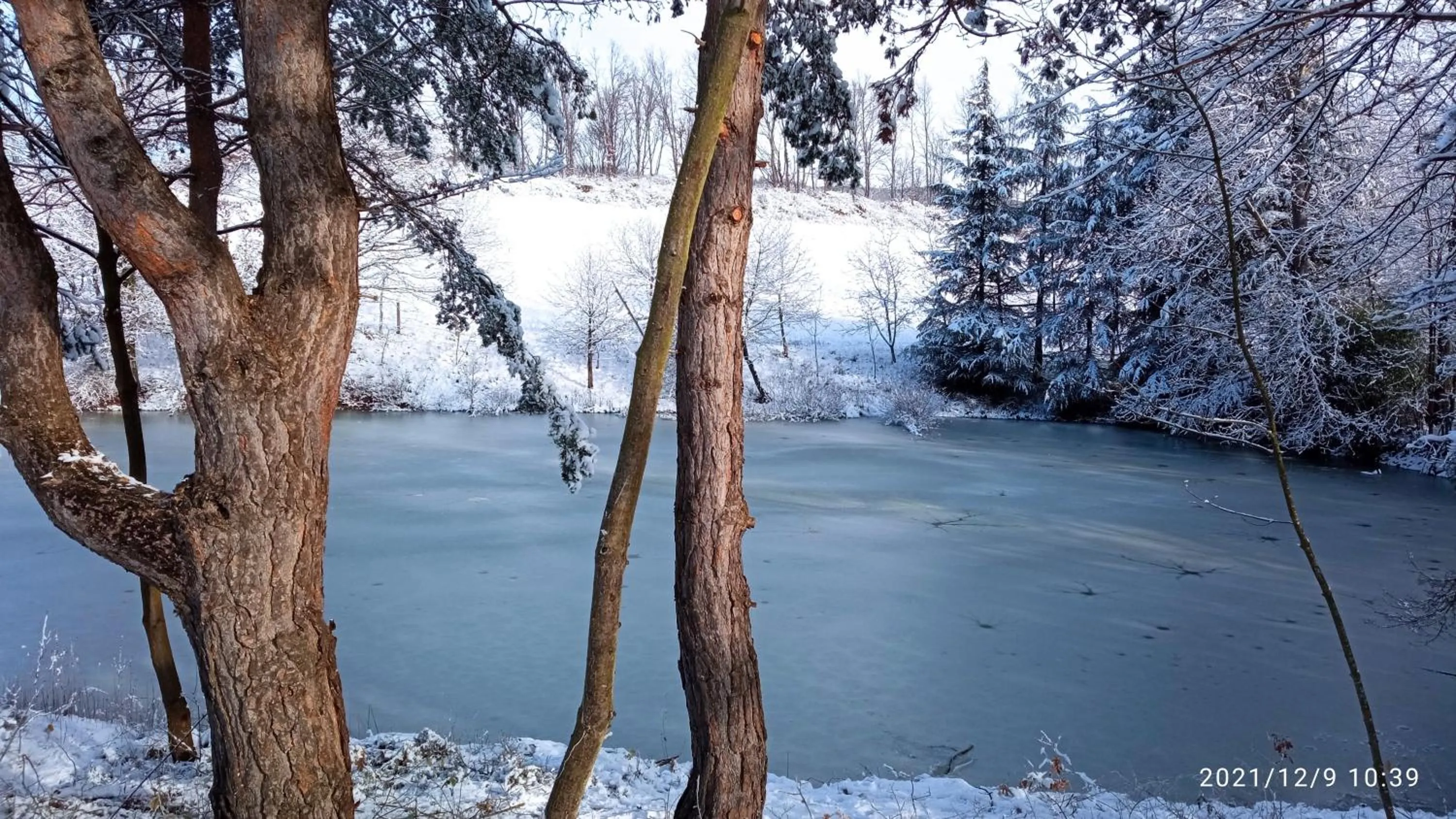 Winter in Cascina Boschetto