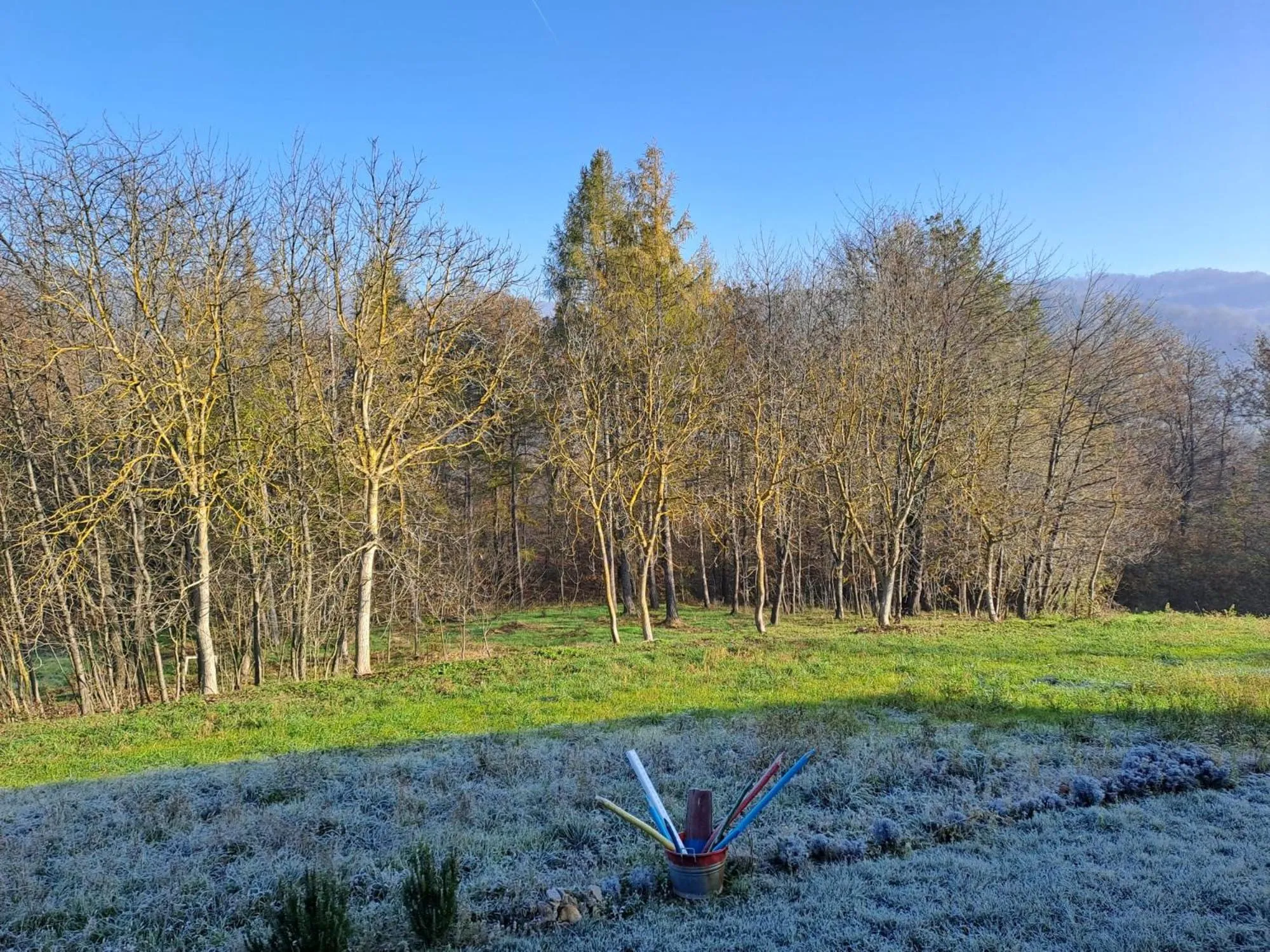 View (from property/room) in Cascina Boschetto