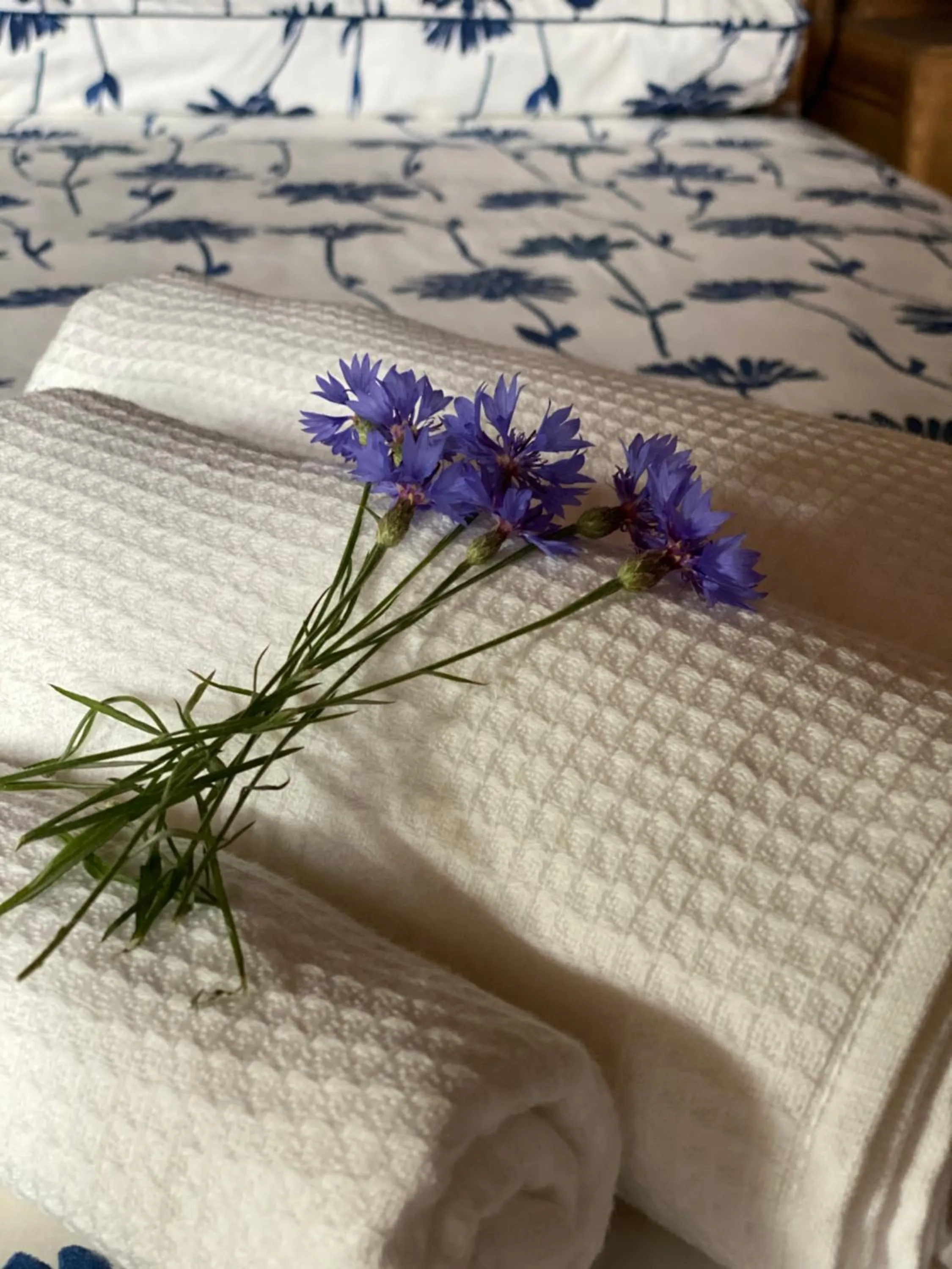 Bedroom, Bed in Cascina Boschetto