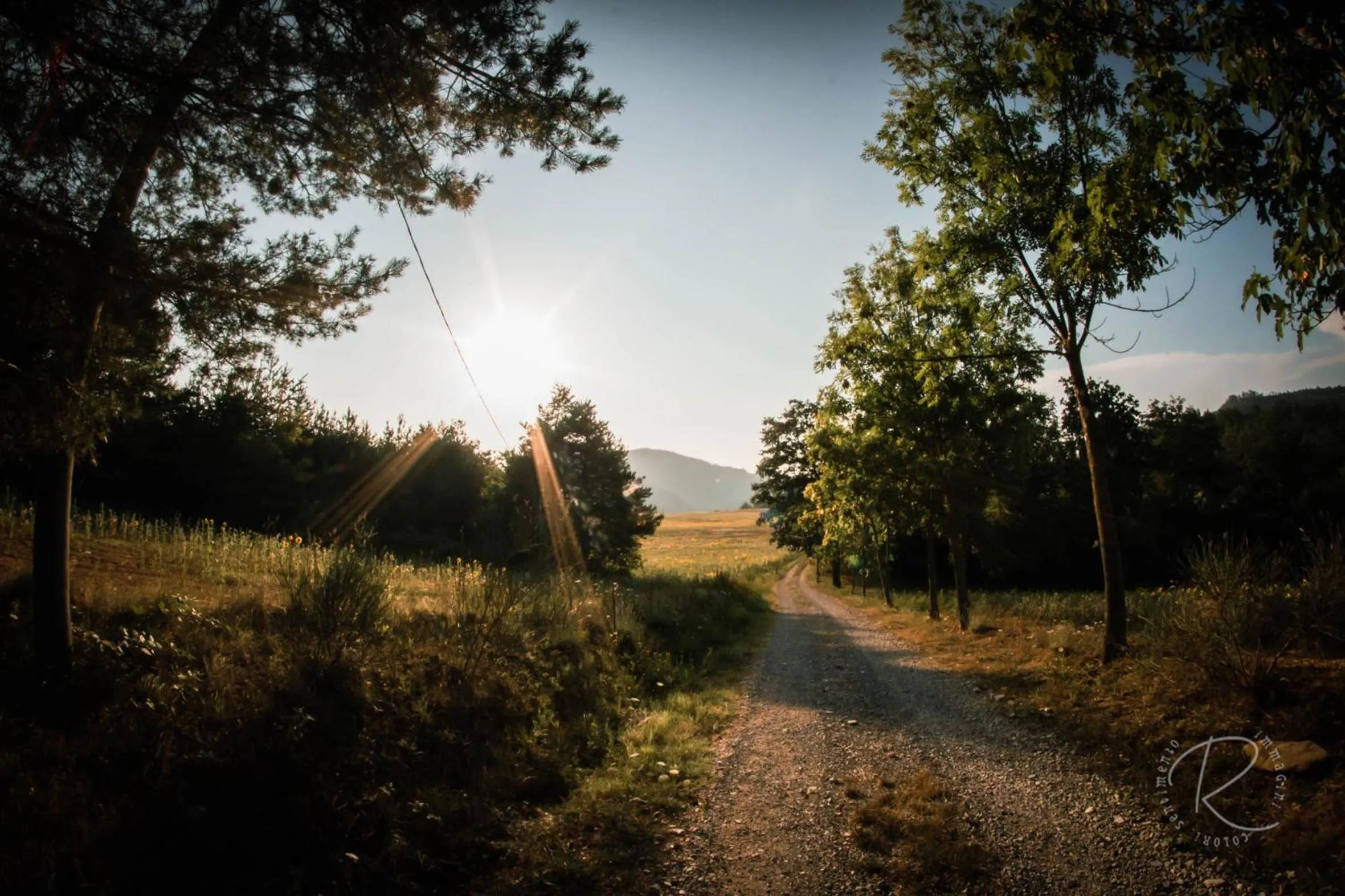 Quiet street view in Cascina Boschetto
