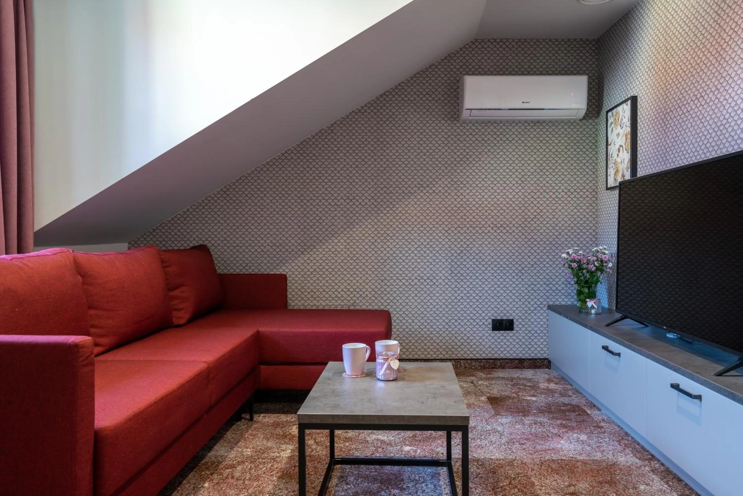 TV and multimedia in Carp&Bed Zator