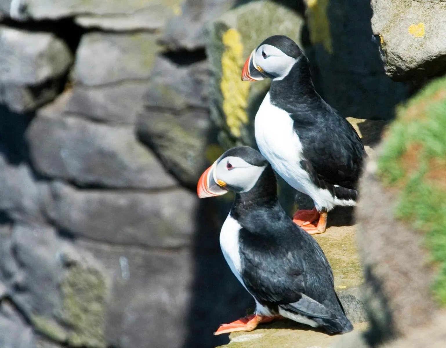 Natural landscape in Cave apartment