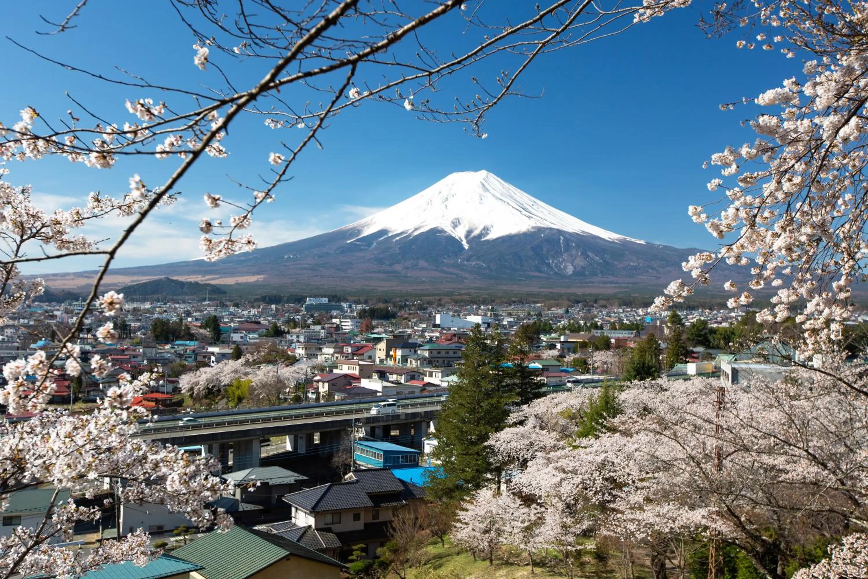 Spring in SORAPIA Villa Mt.FUJI Front