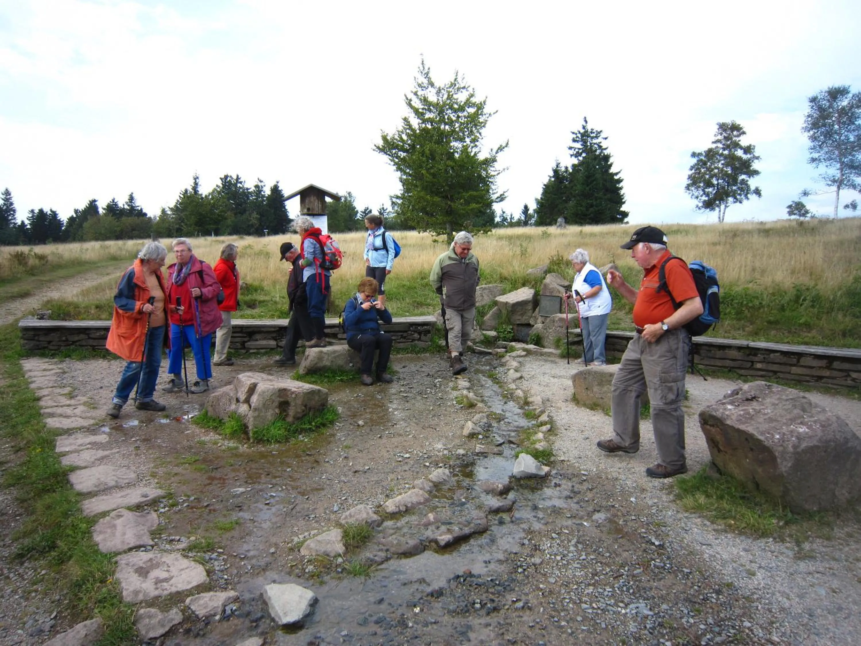 Hiking in Landgasthof Gilsbach