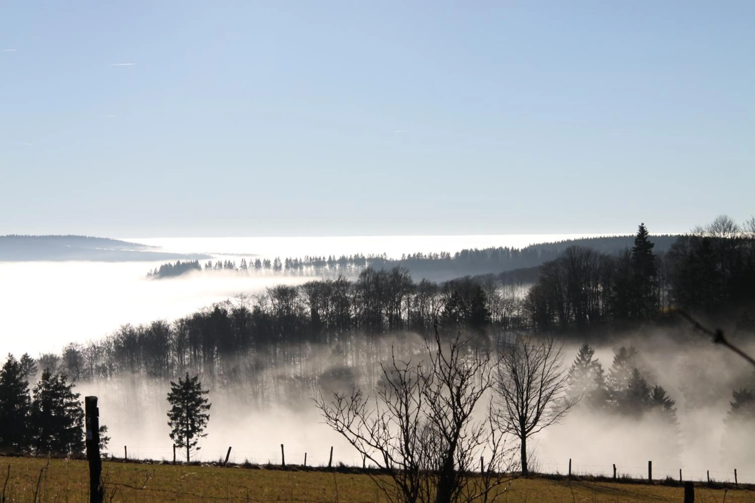 Area and facilities in Landgasthof Gilsbach