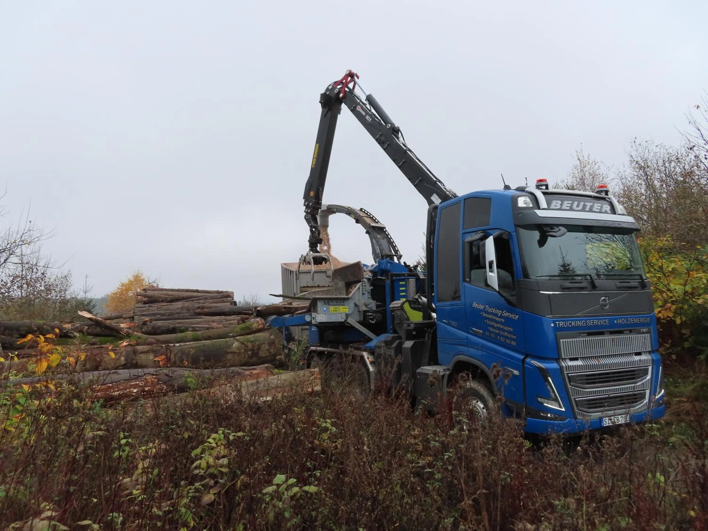 Area and facilities in Landgasthof Gilsbach
