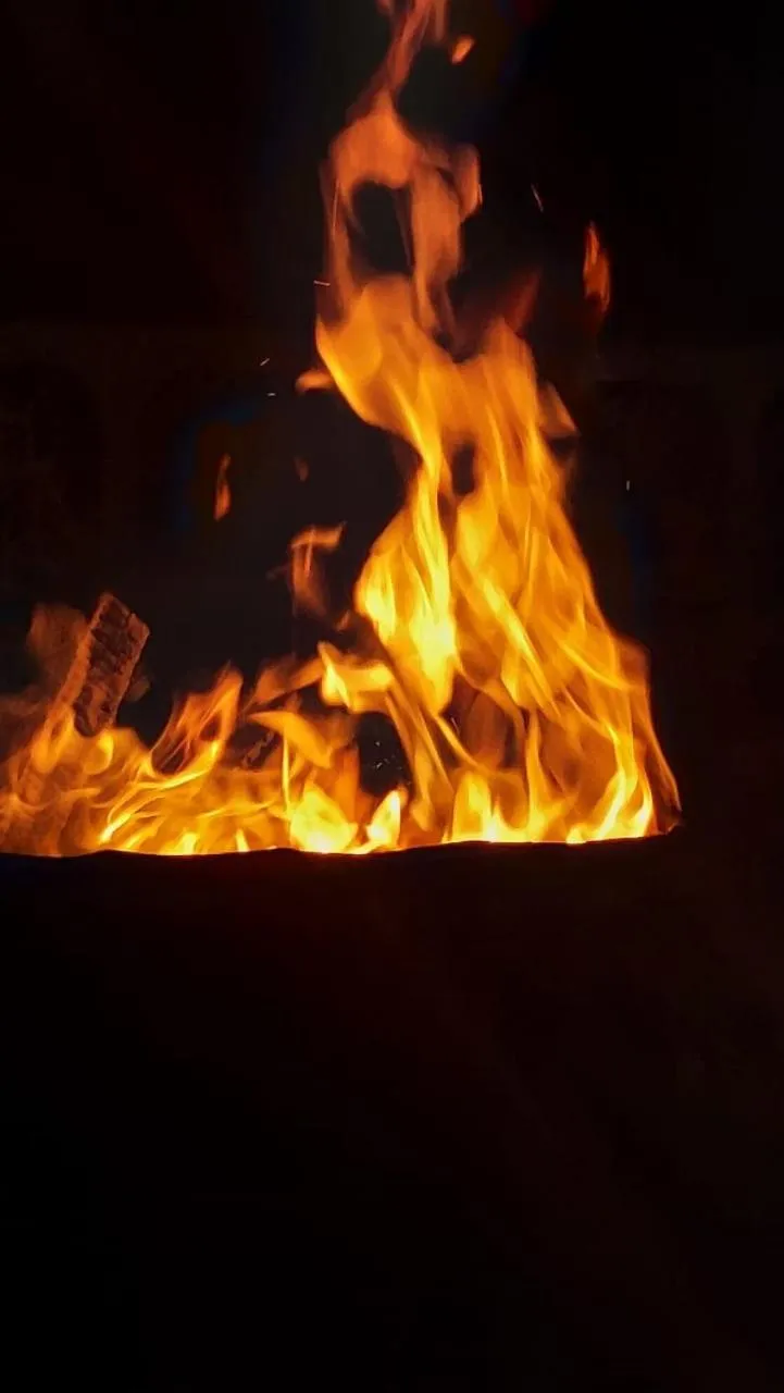 Evening entertainment in Hotel Vatika - the riverside resort