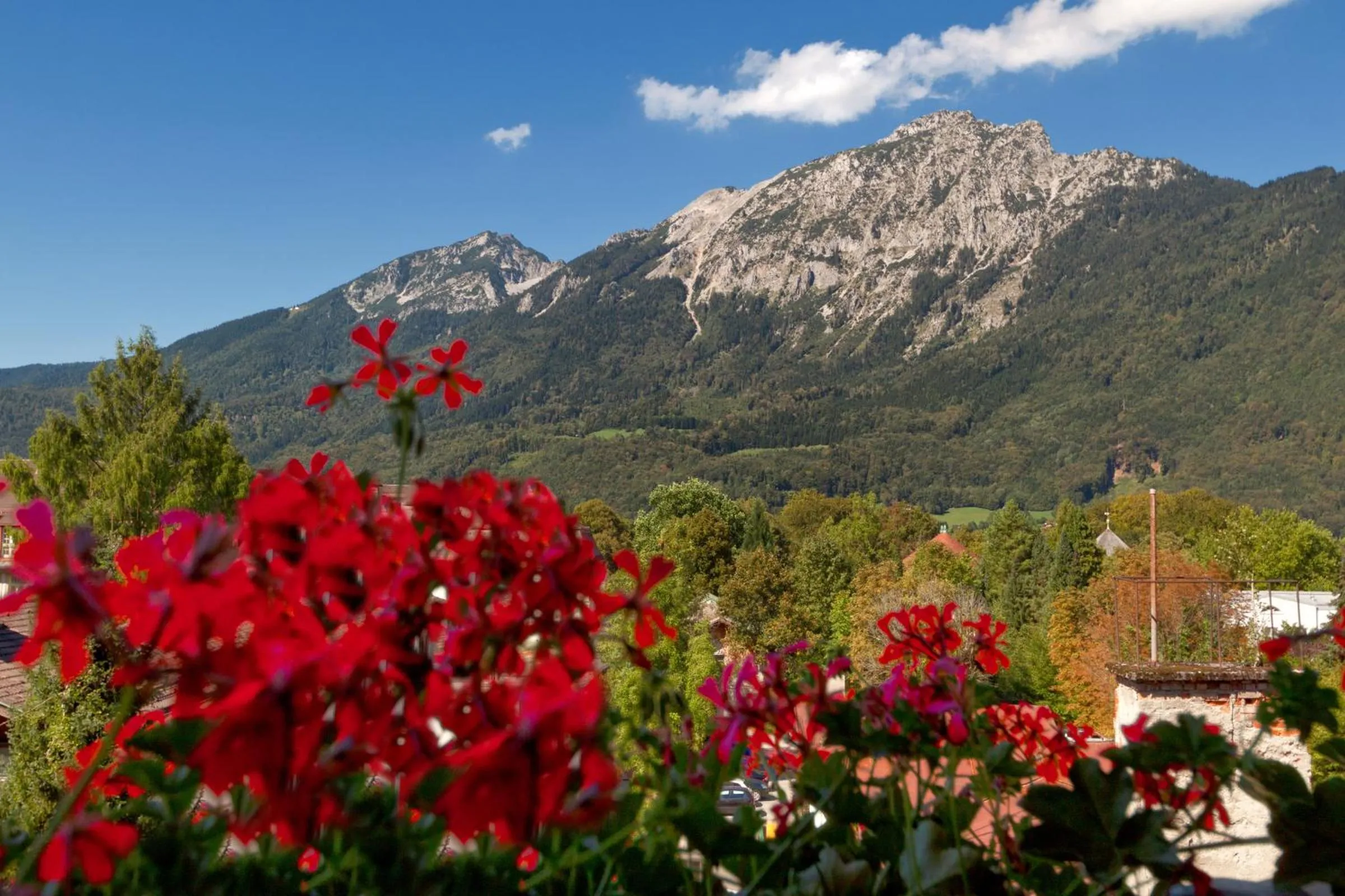 Natural landscape in Hotel Bergfried & Schönblick