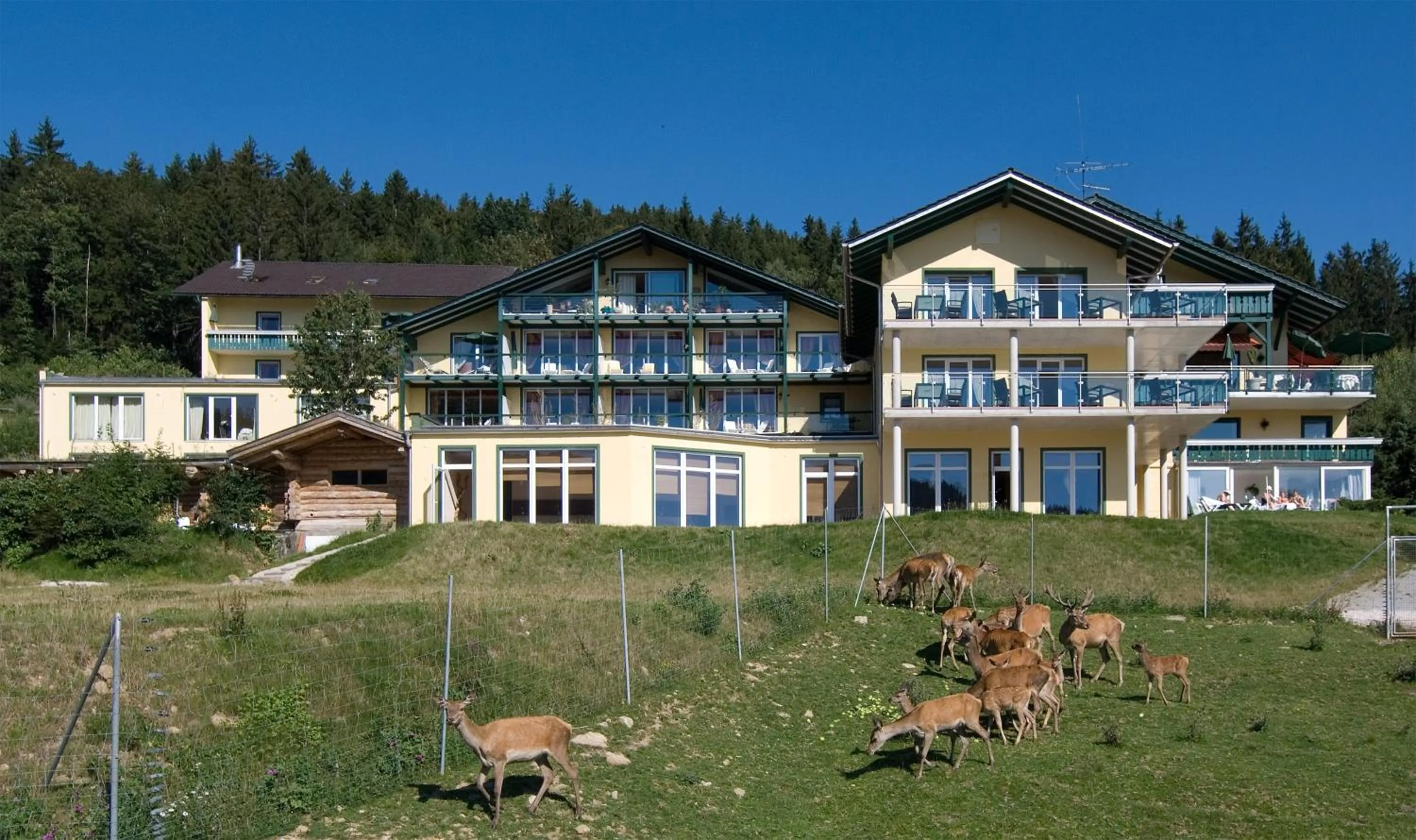 Facade/entrance in Naturhotel Rebling