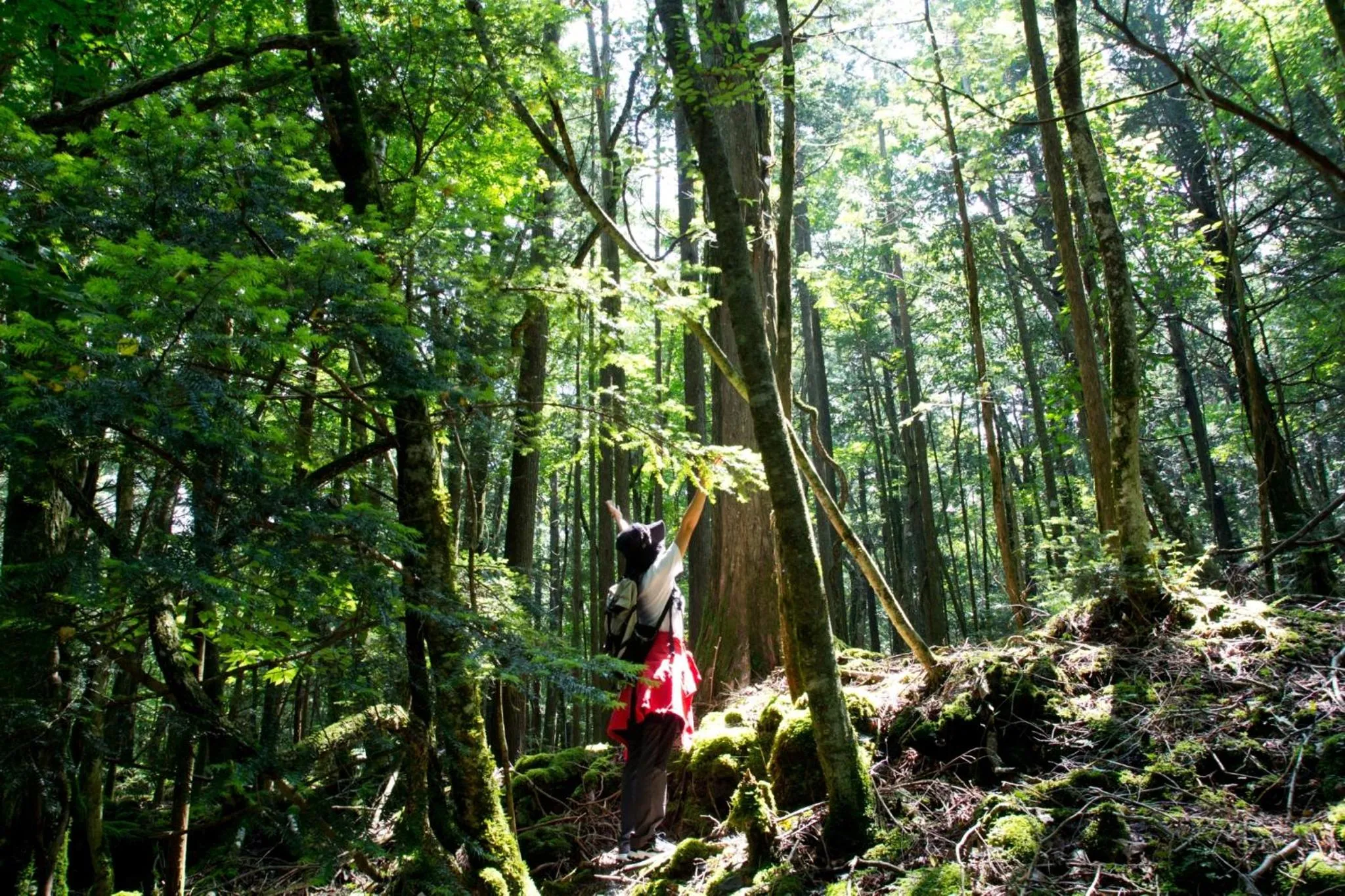 Activities in HANZ OUTDOOR RESORT -formerly GLAMPING VILLA HANZ KAWAGUCHIKO