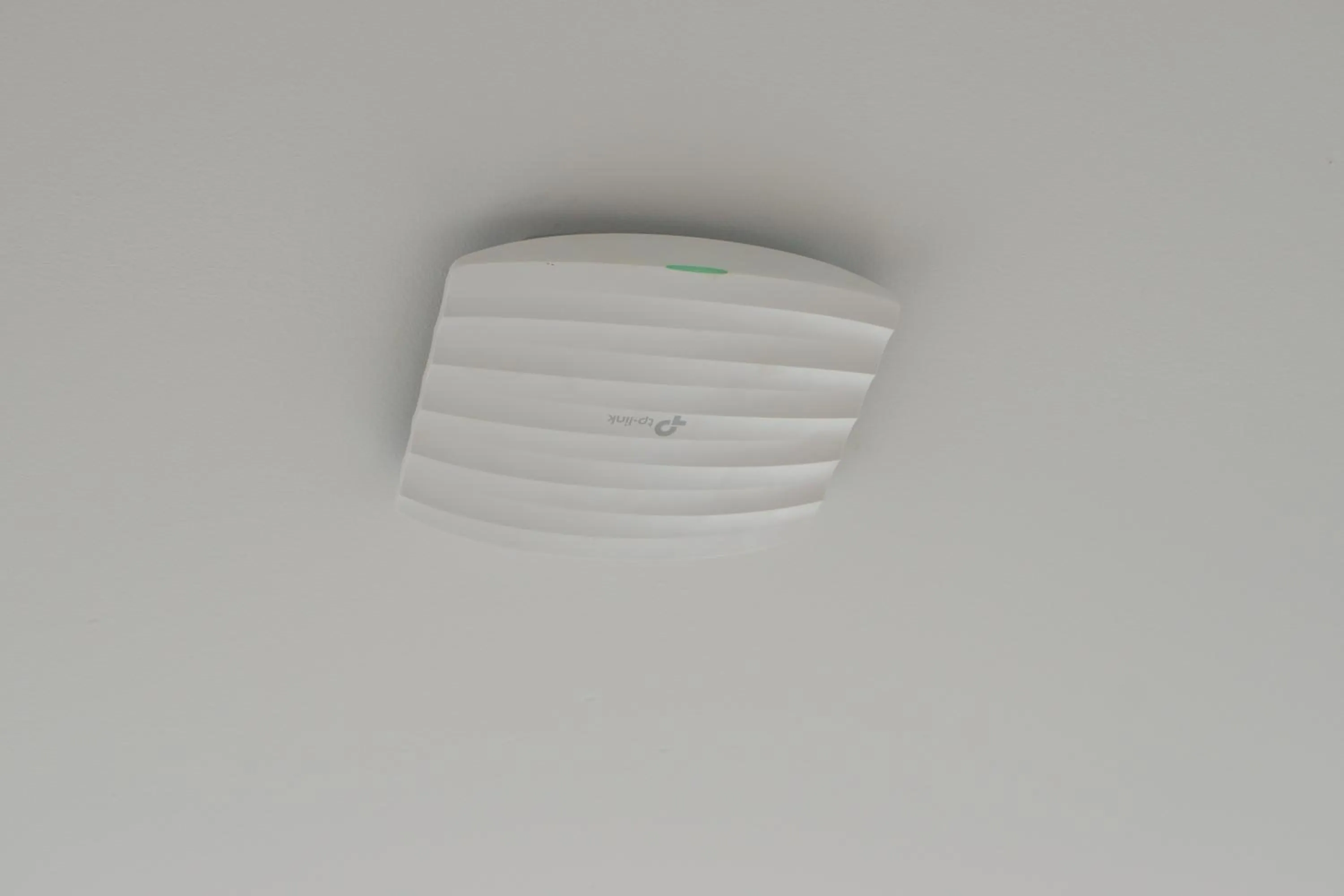 Decorative detail in Island Dive Club