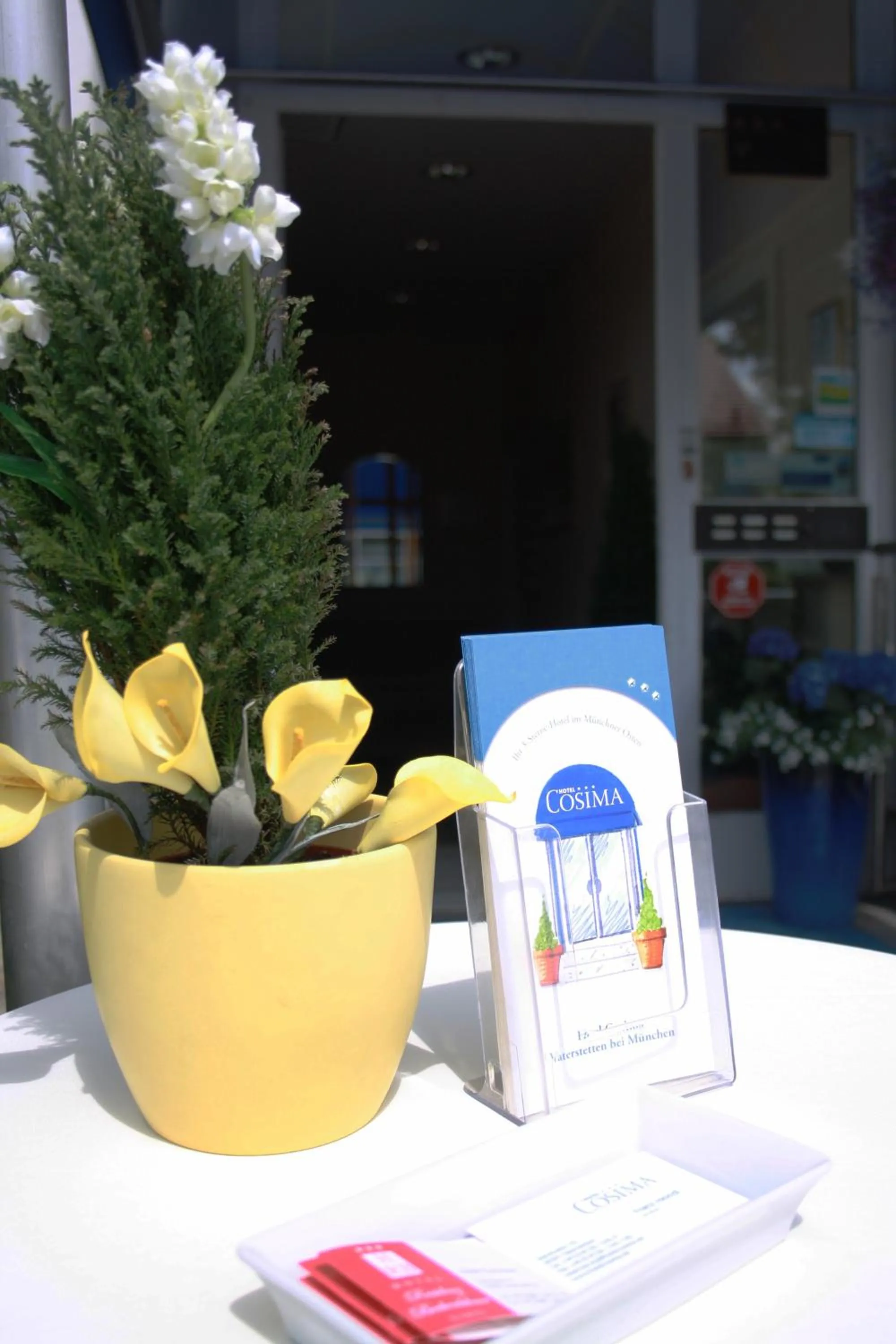 Decorative detail in Hotel Cosima