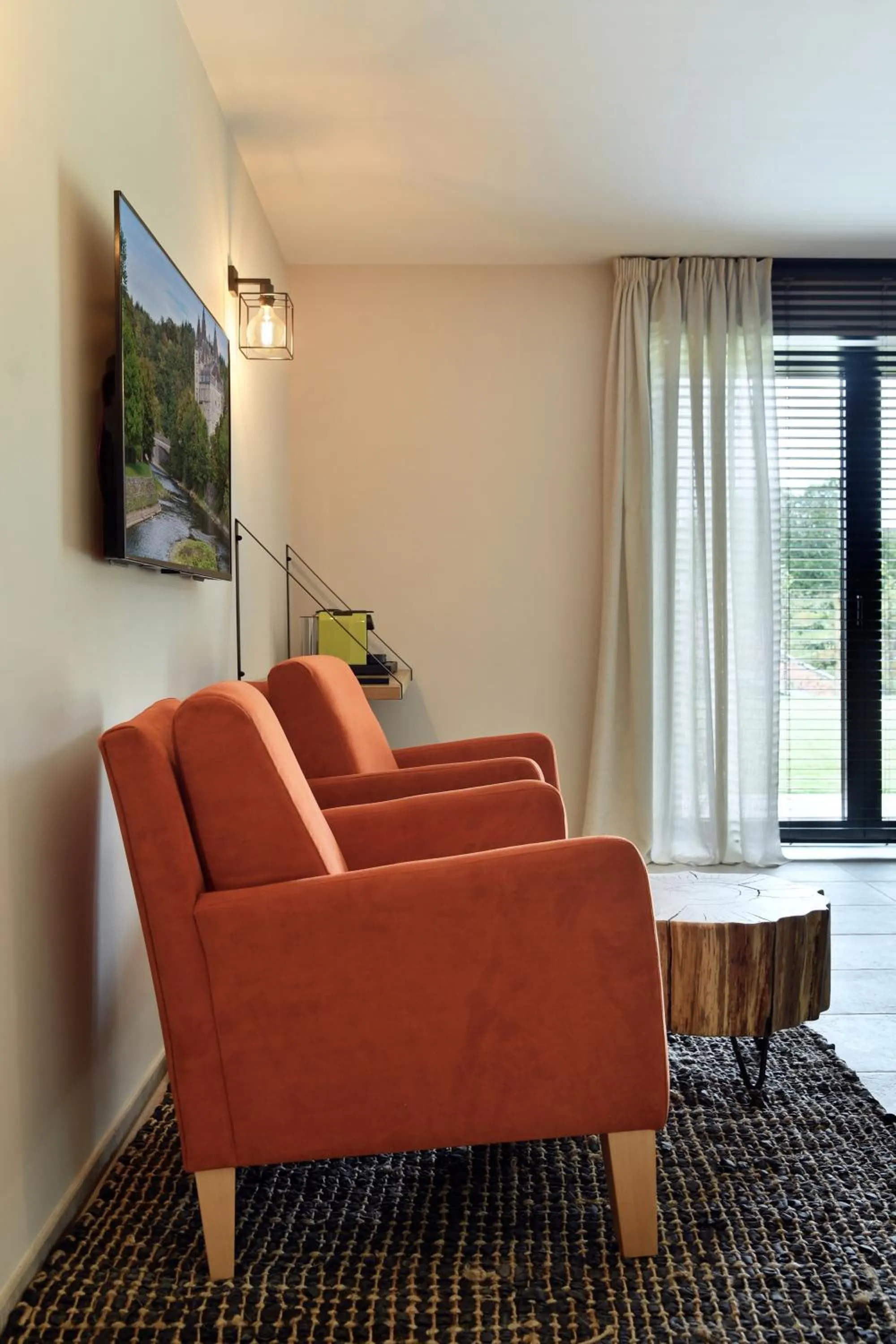TV and multimedia in DURBUY SUITES
