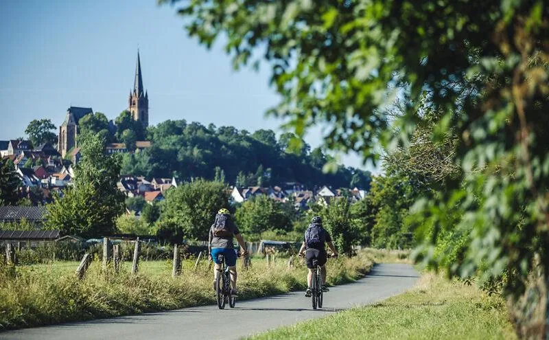 Cycling in Hotel Die Sonne Frankenberg