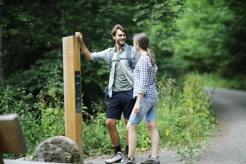 Hiking in Hotel Die Sonne Frankenberg