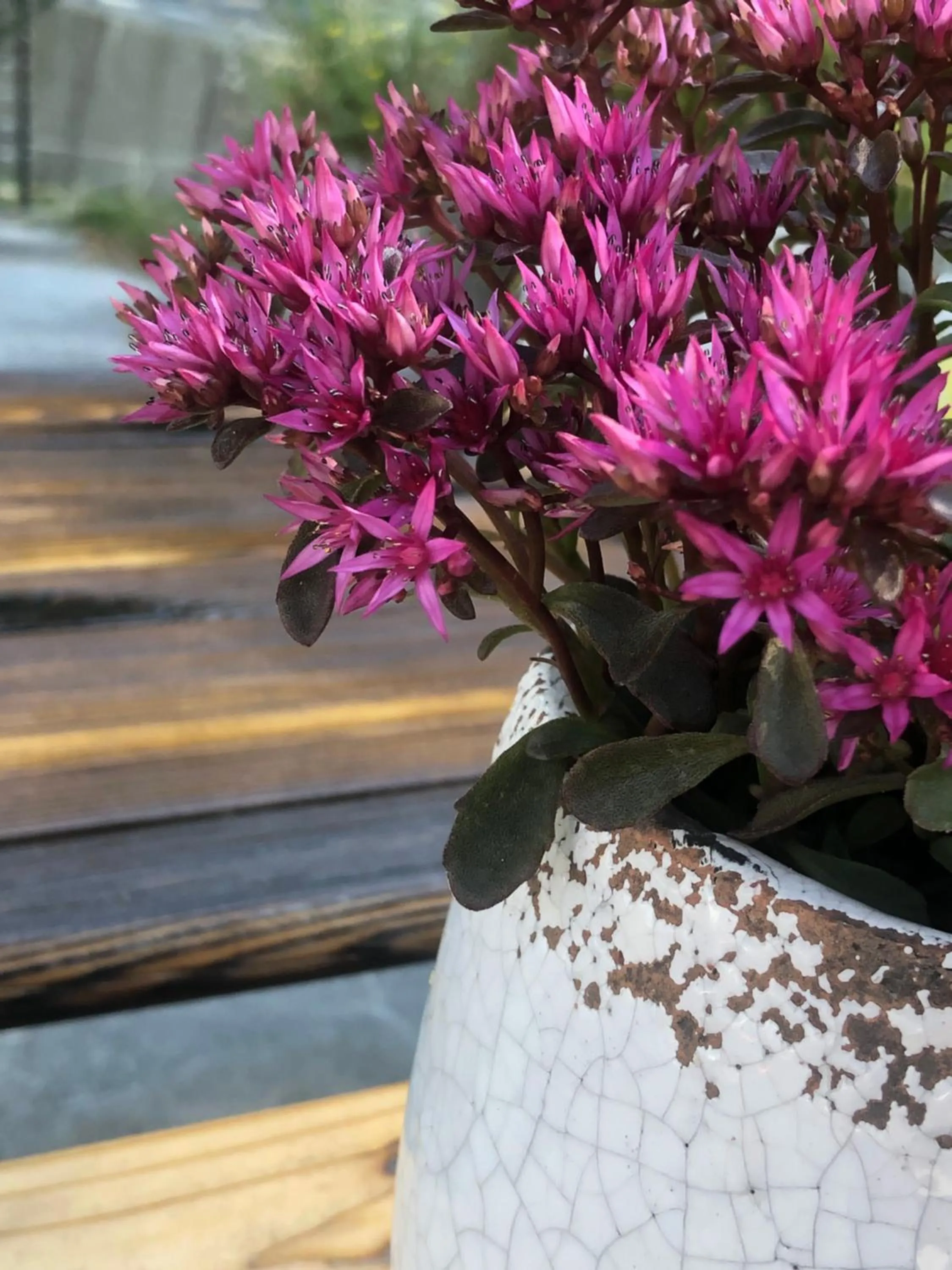 Spring in Hotel Cafe Seeblick