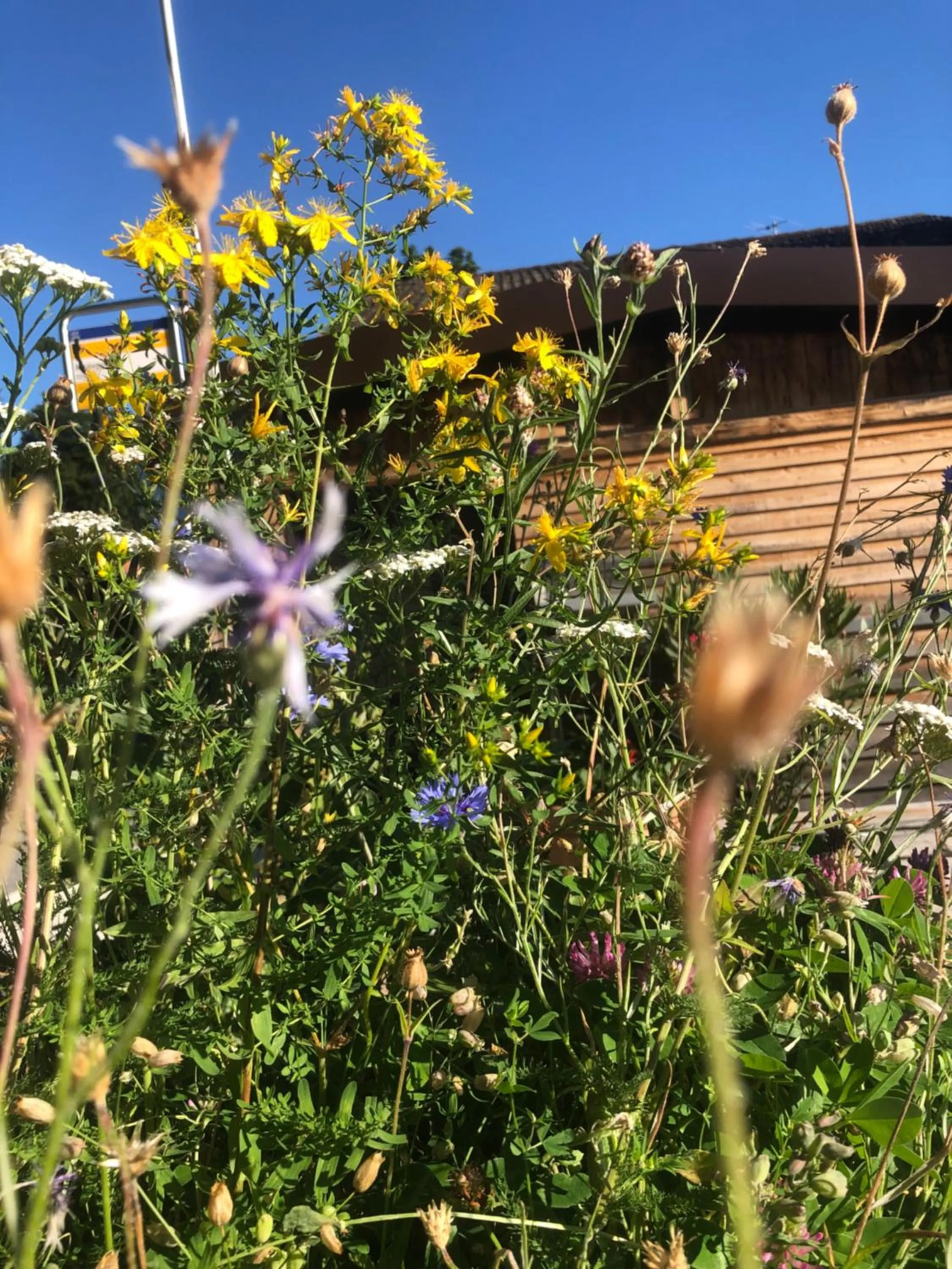 Spring in Hotel Cafe Seeblick