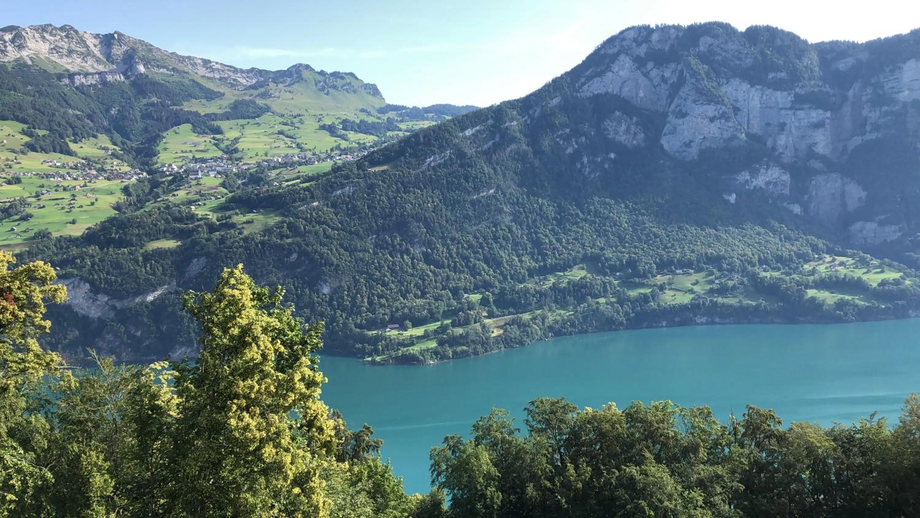Natural landscape in Hotel Cafe Seeblick