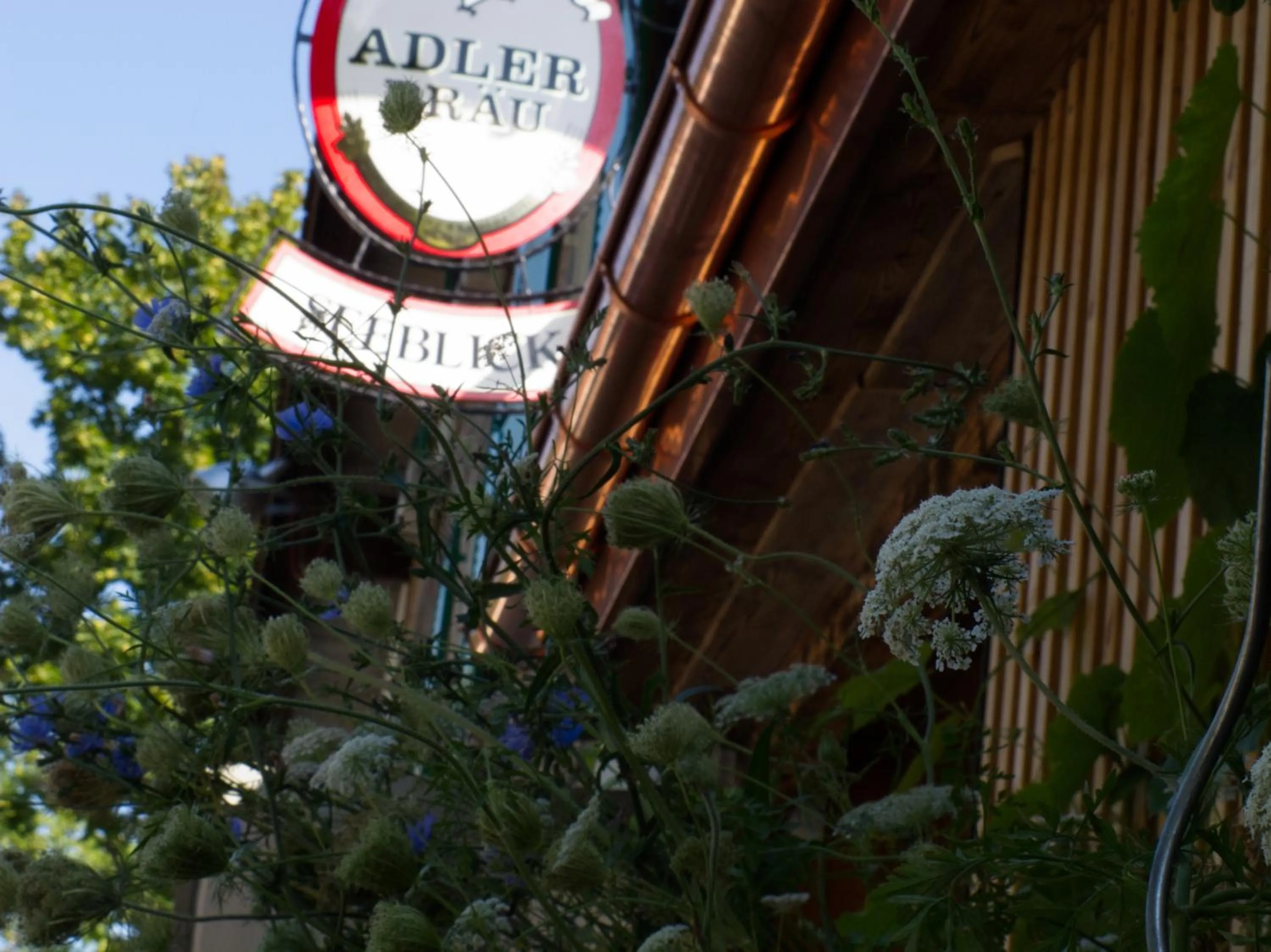 Property logo or sign in Hotel Cafe Seeblick