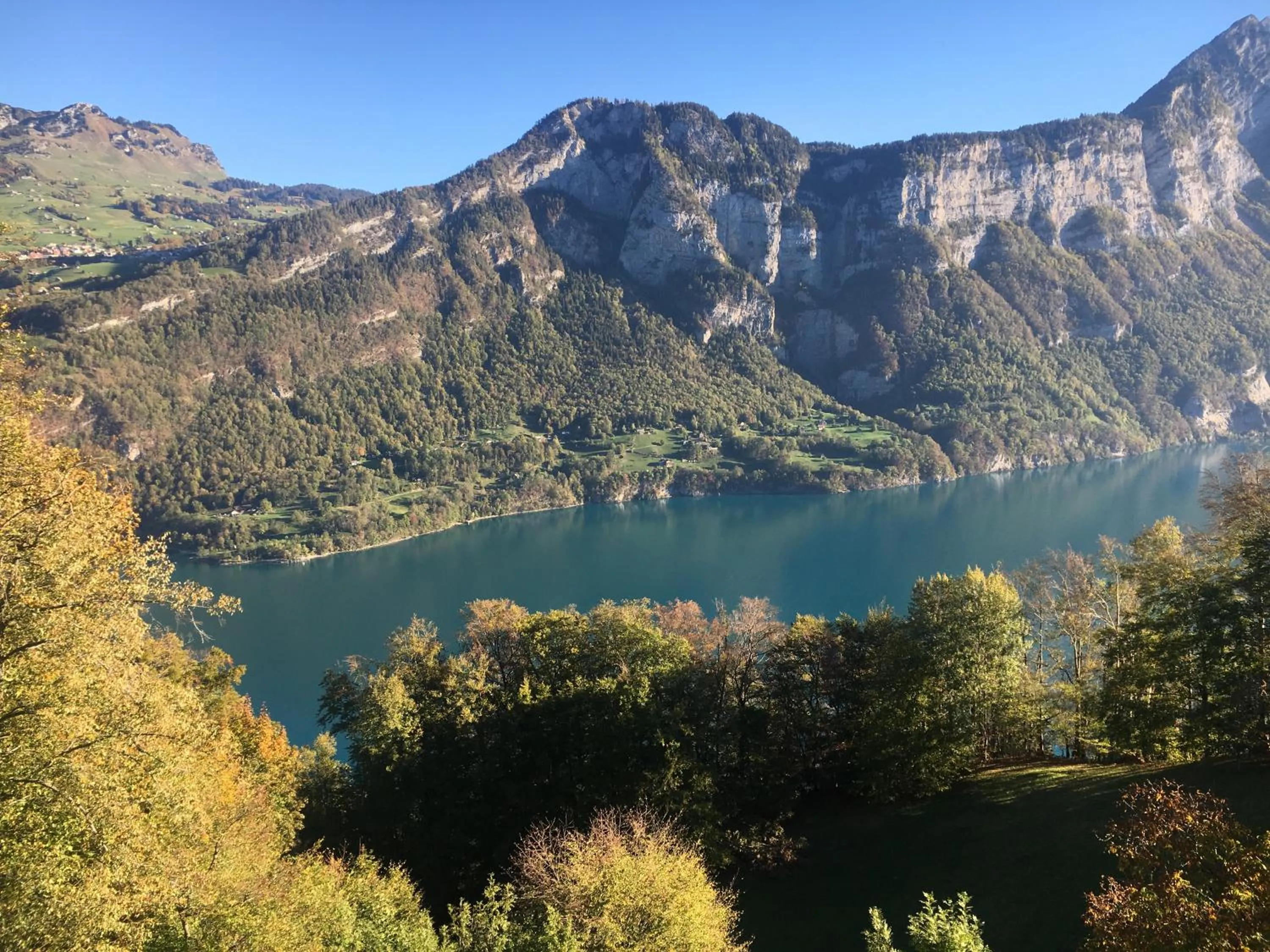 Natural landscape in Hotel Cafe Seeblick