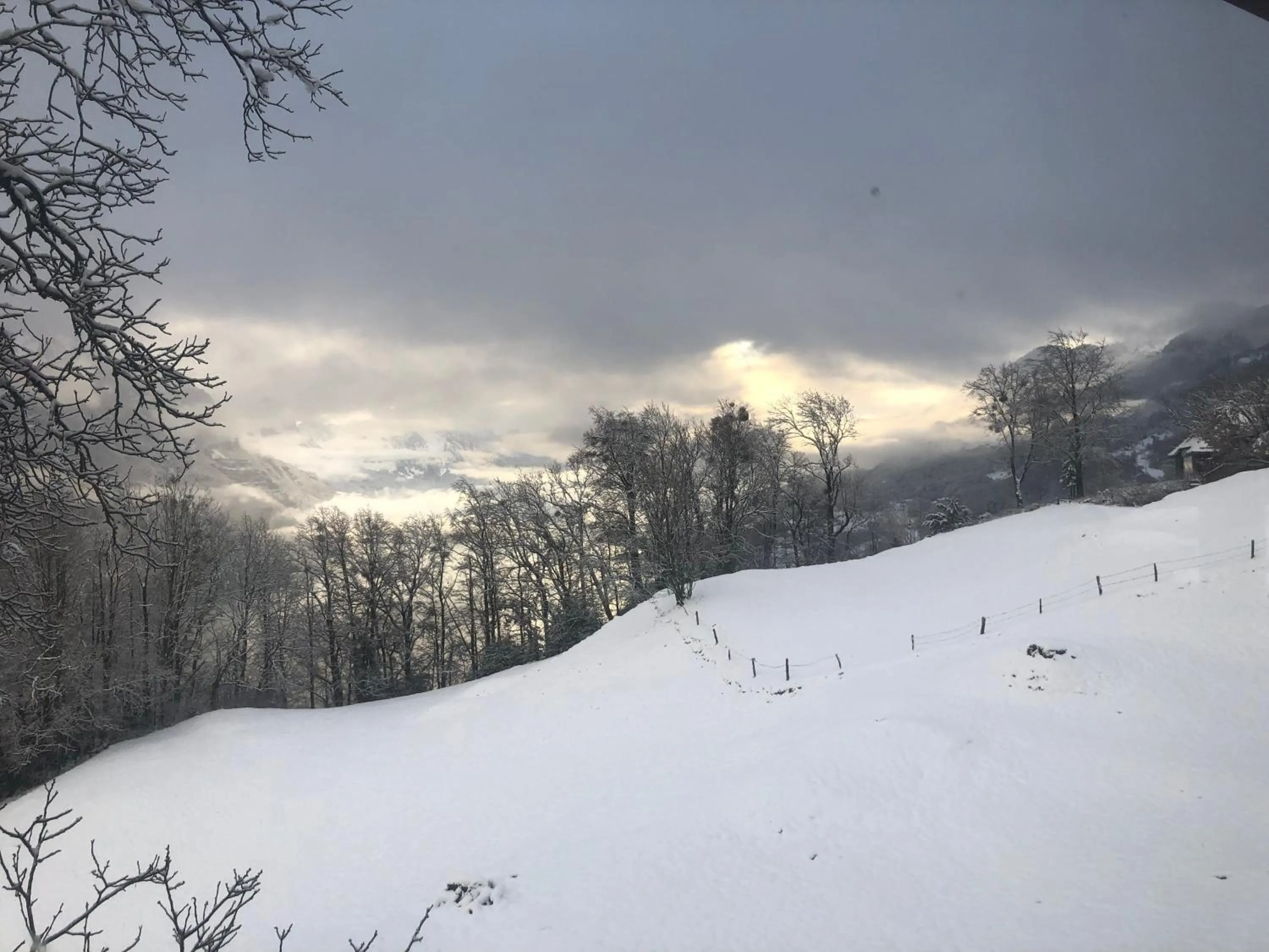 Natural landscape in Hotel Cafe Seeblick
