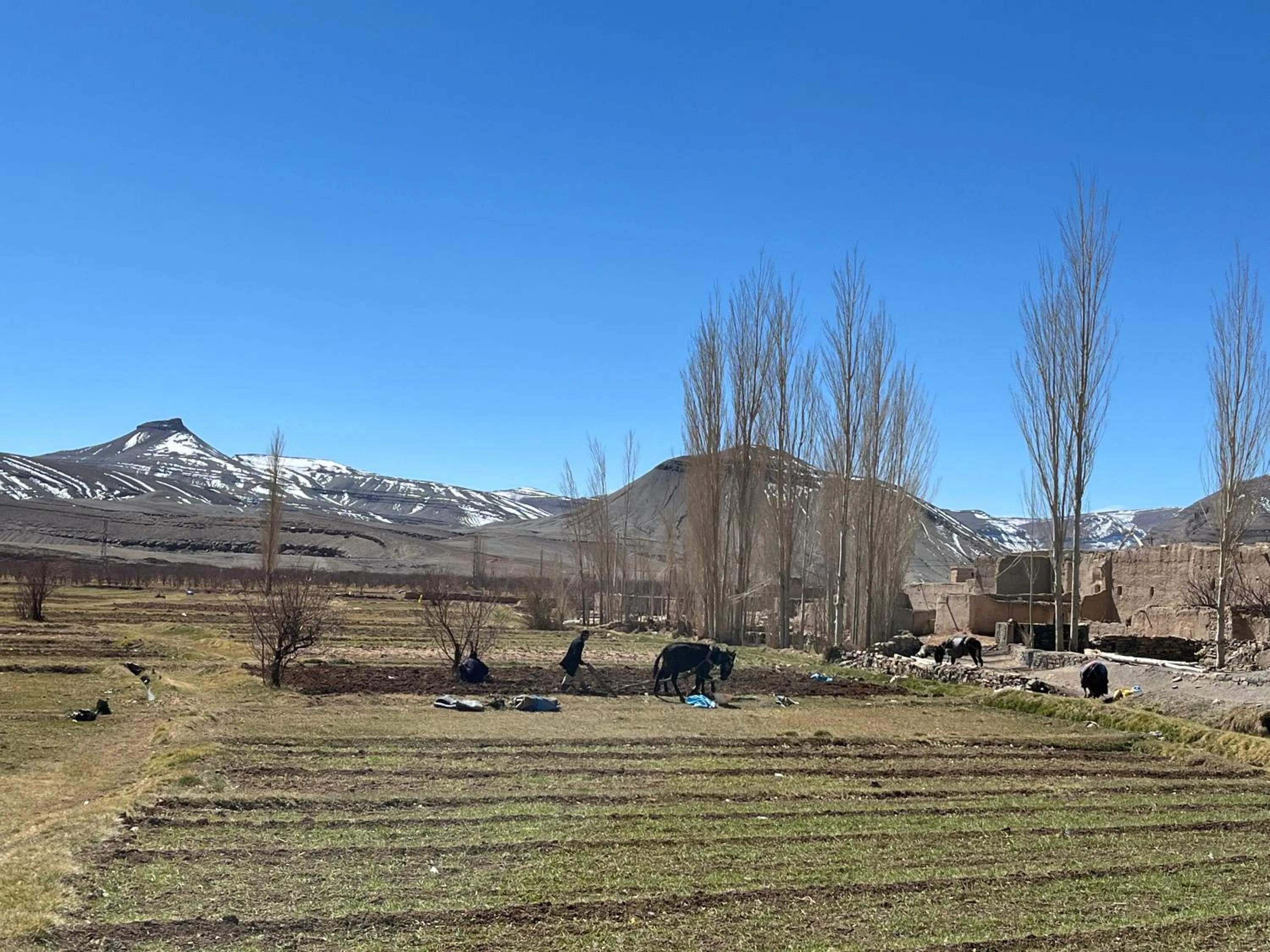 Spring in Auberge & Restaurant Agoudal