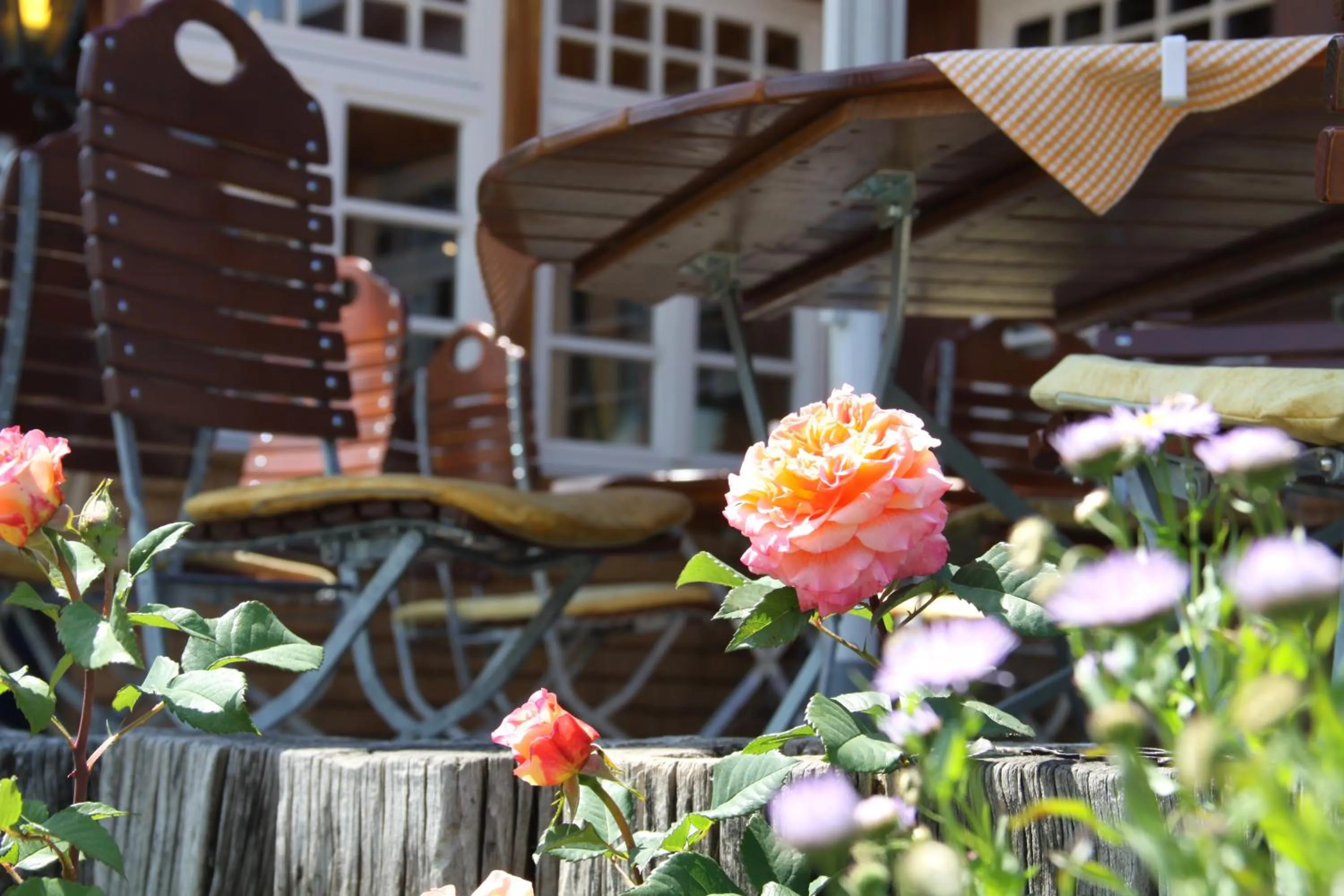 Garden in Hotel Adler Bärental