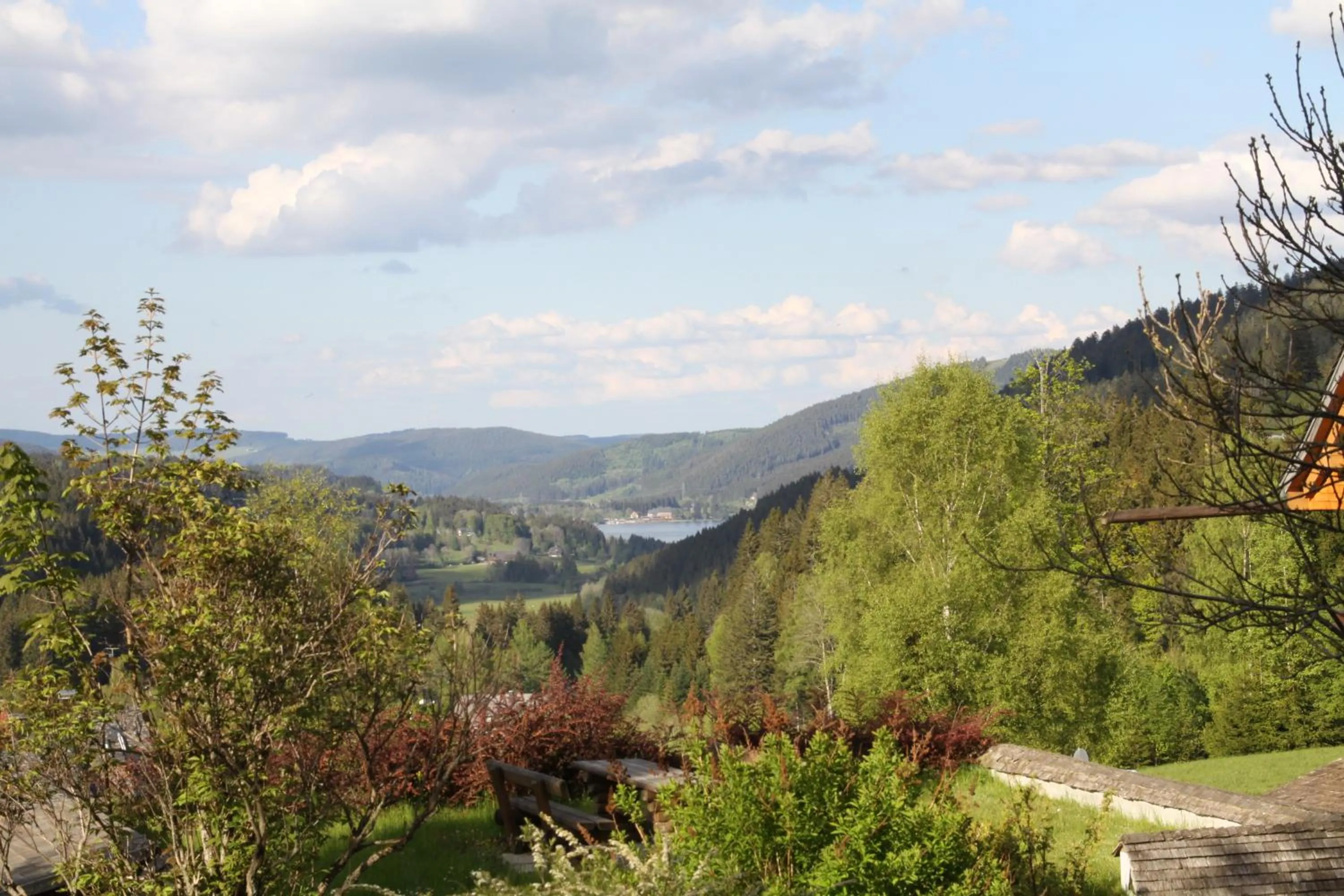 Garden in Hotel Adler Bärental