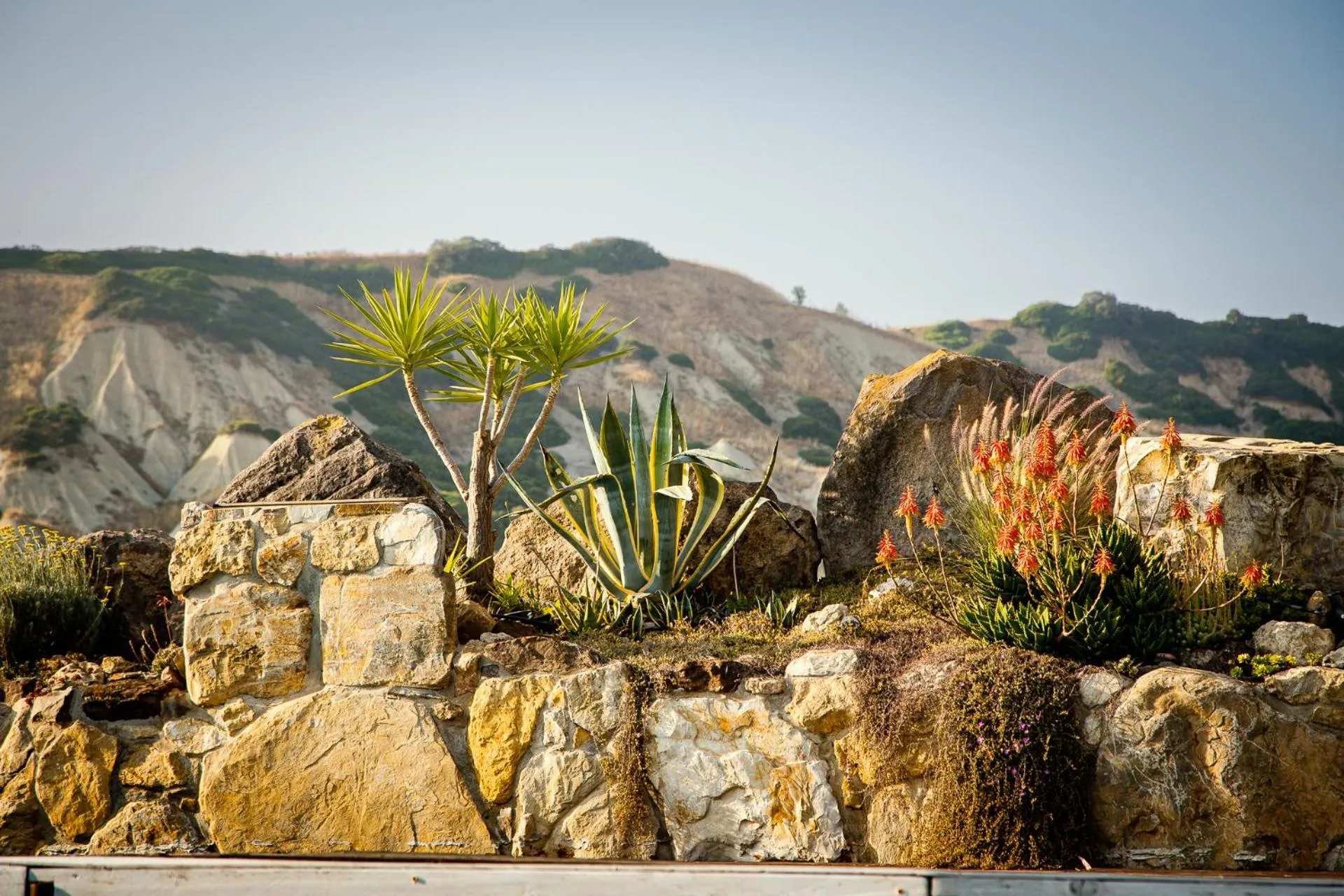 Pool view in Locanda Villa Naumanni