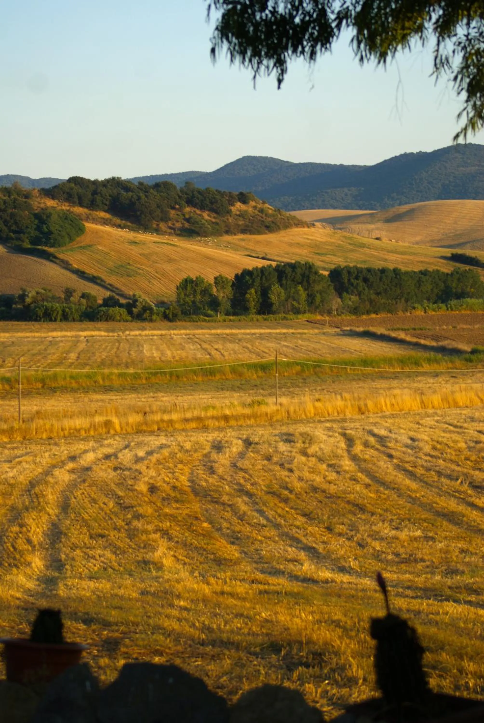 View (from property/room) in Locanda Villa Naumanni