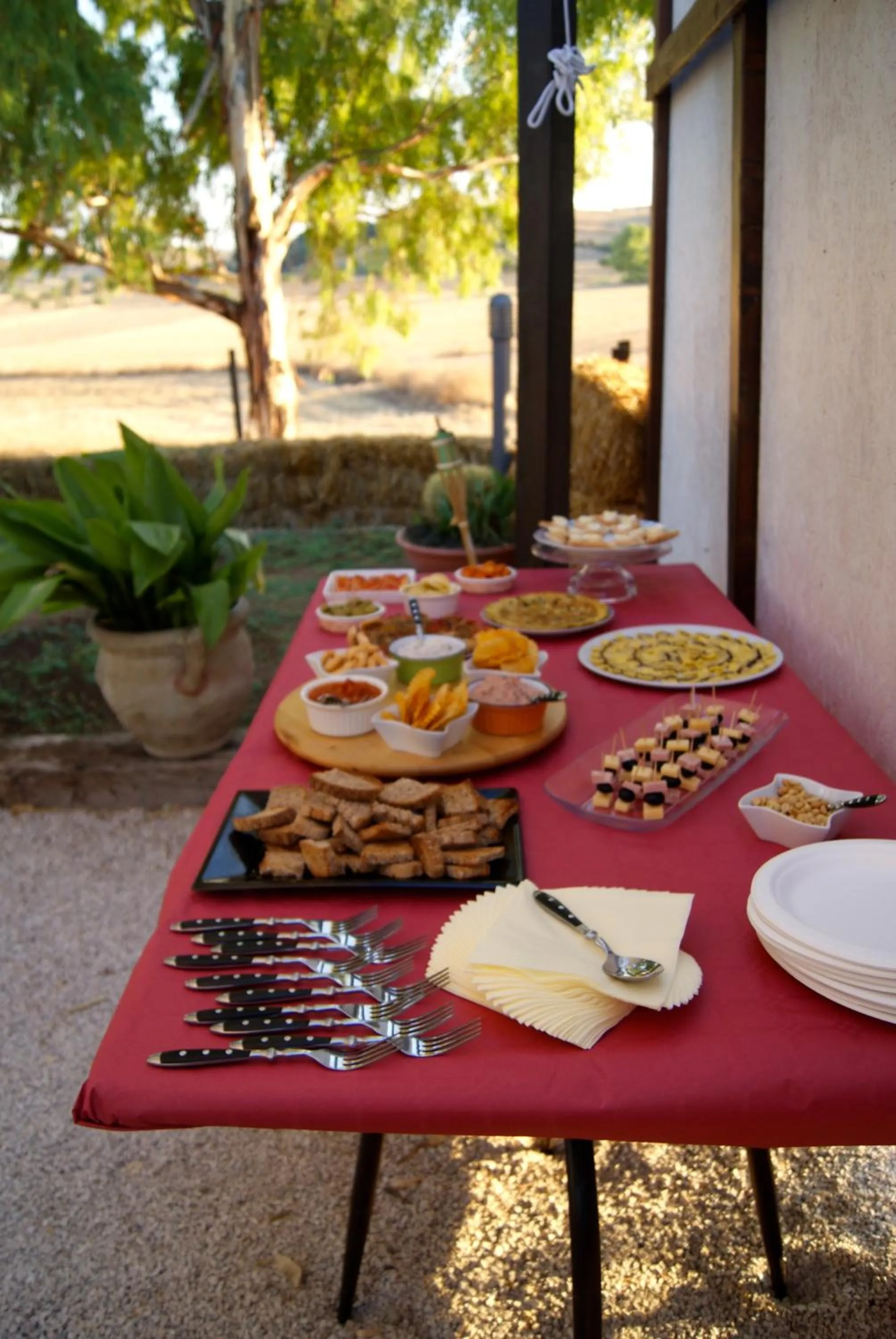 Restaurant/places to eat in Locanda Villa Naumanni