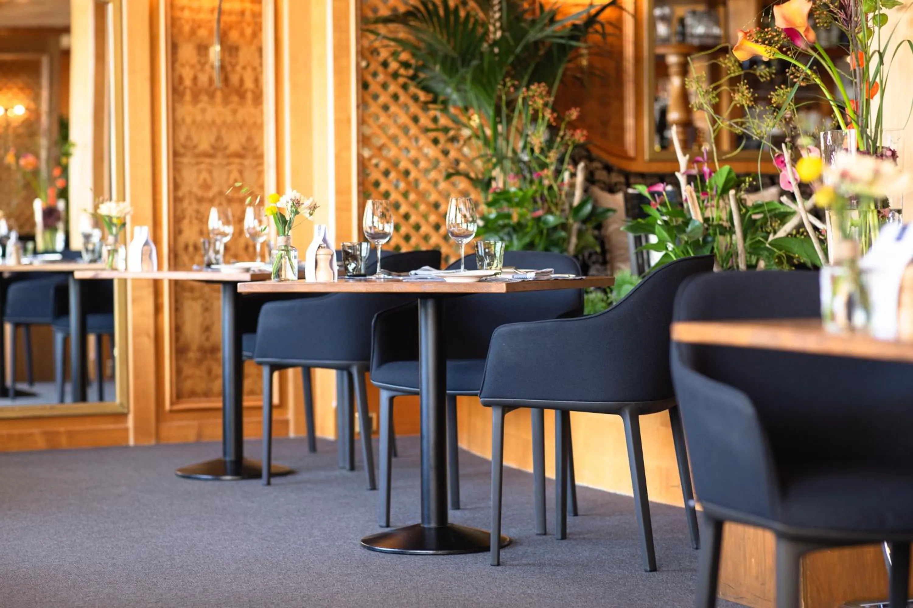 Restaurant/places to eat in BEATUS Wellness- & Spa-Hotel